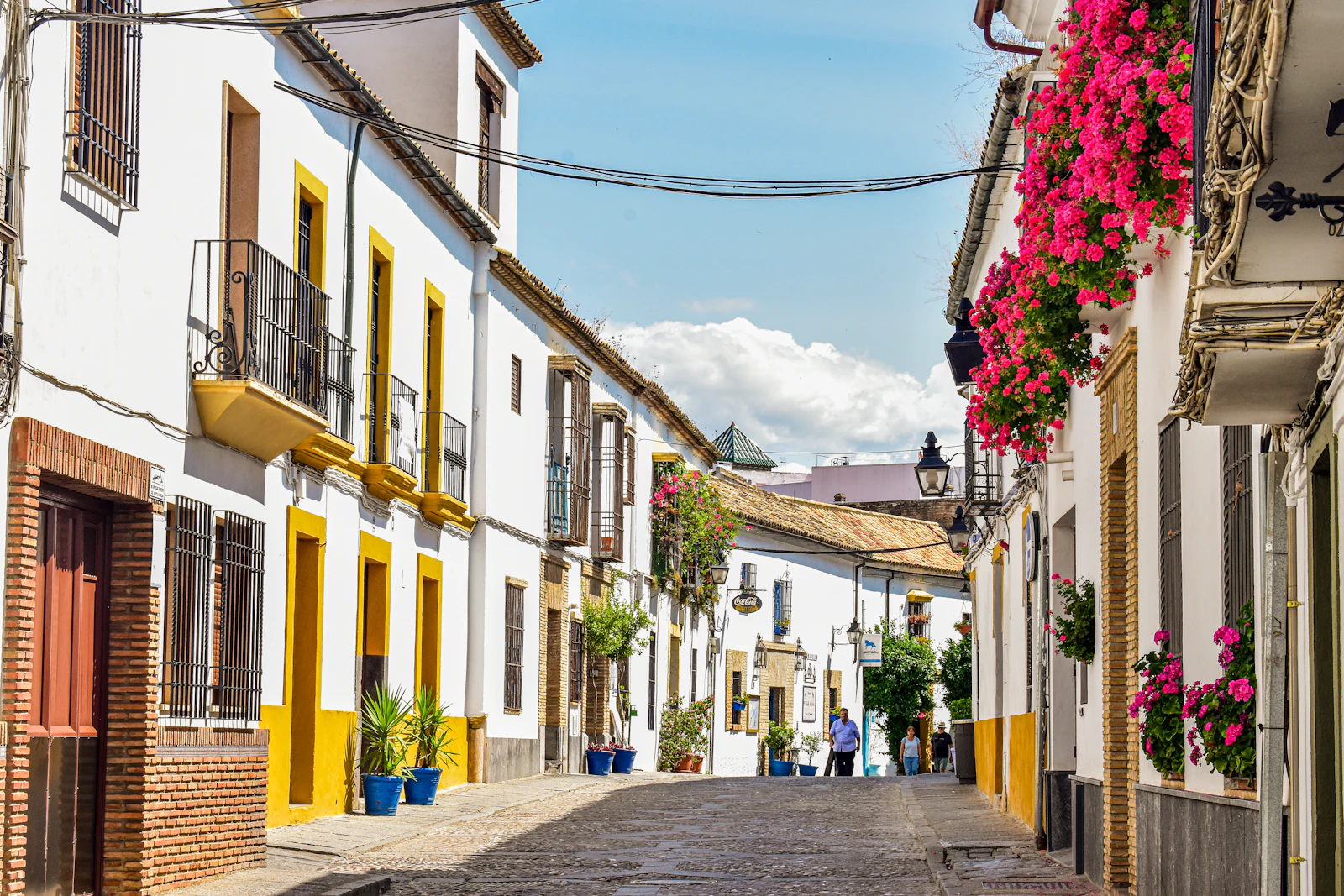 Calle empedrada del casco histórico de Córdoba con casas blancas, macetas y buganvilla