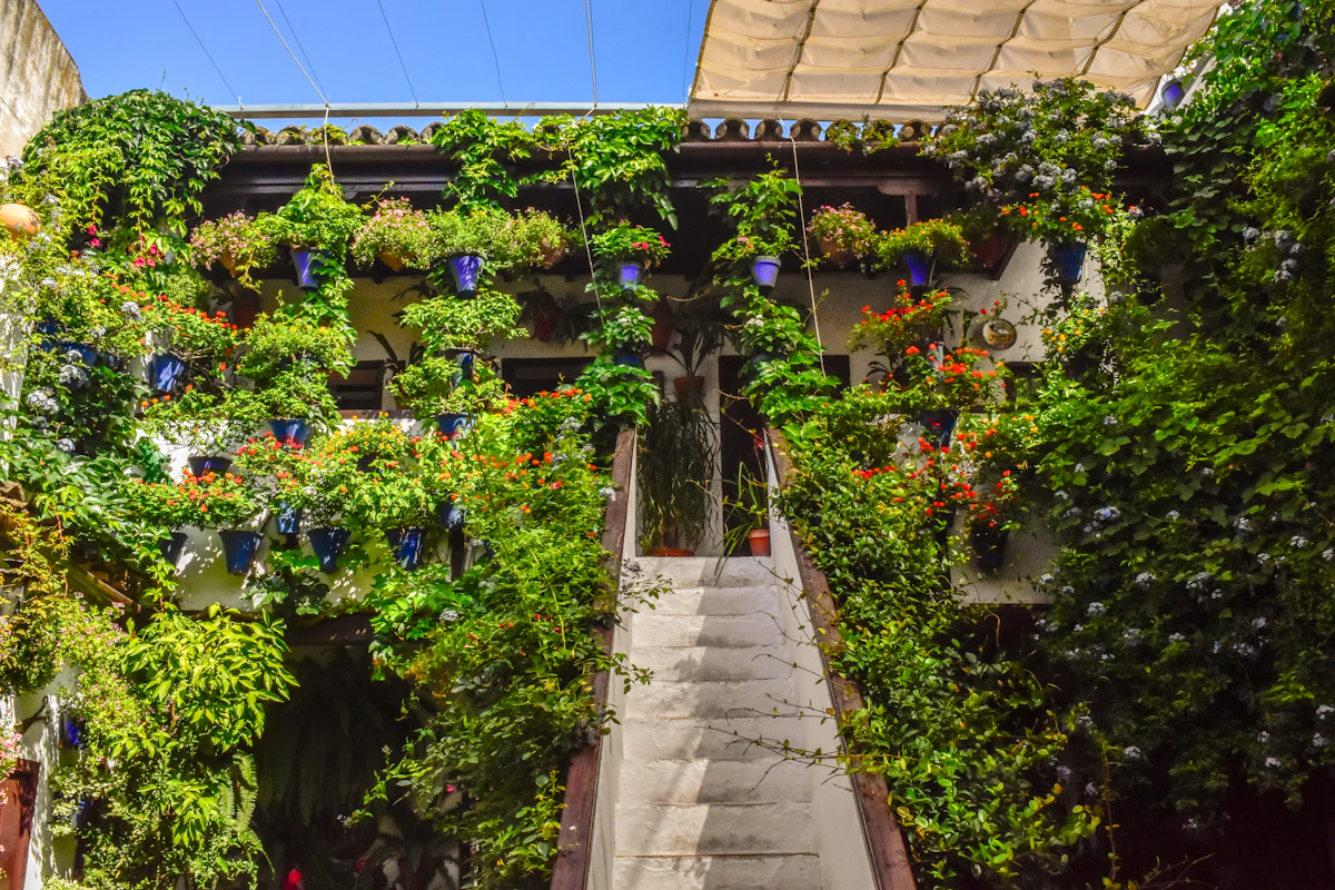 Patio cordobés con plantas y macetas