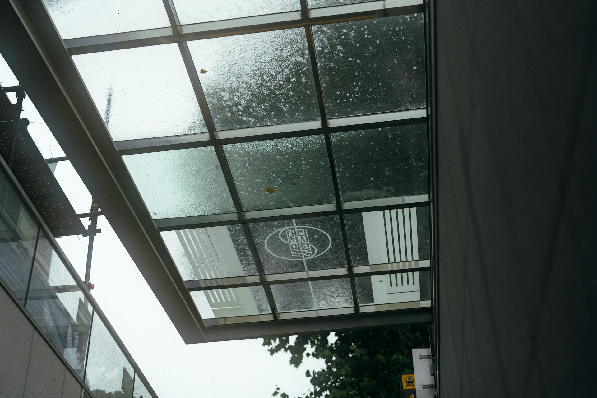 A view of a building through a glass roof