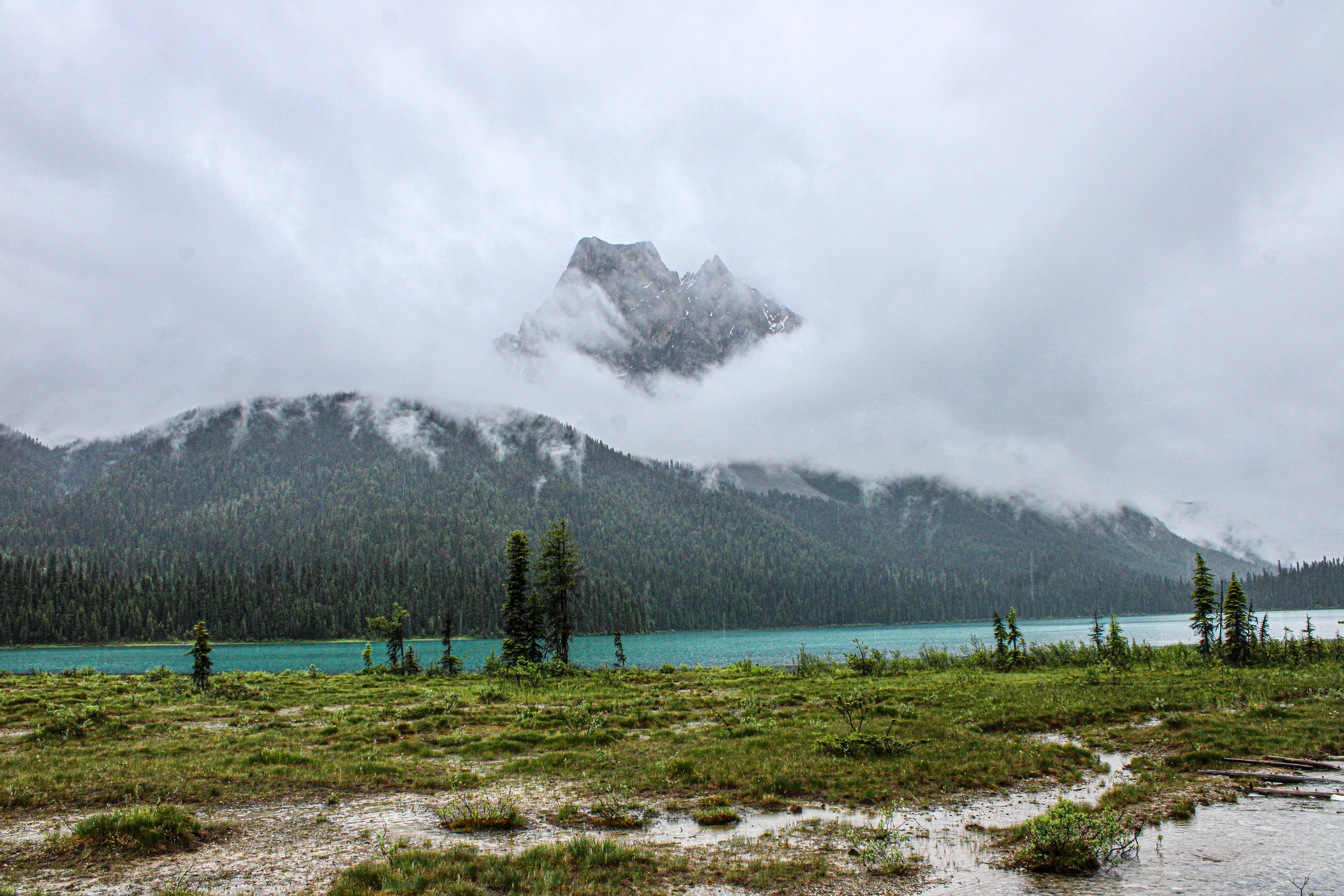 Photo by prphotography262