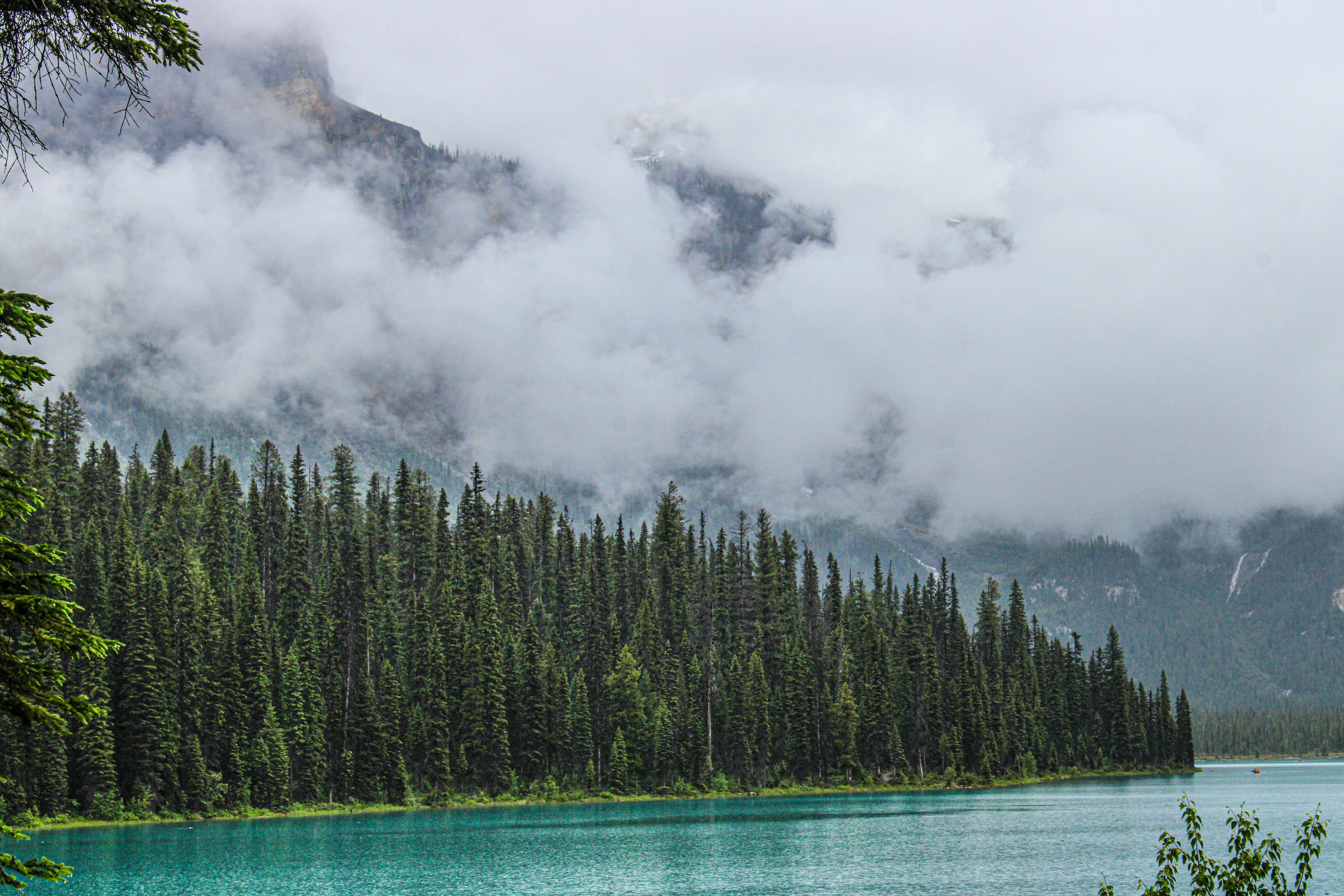 Photo by prphotography262