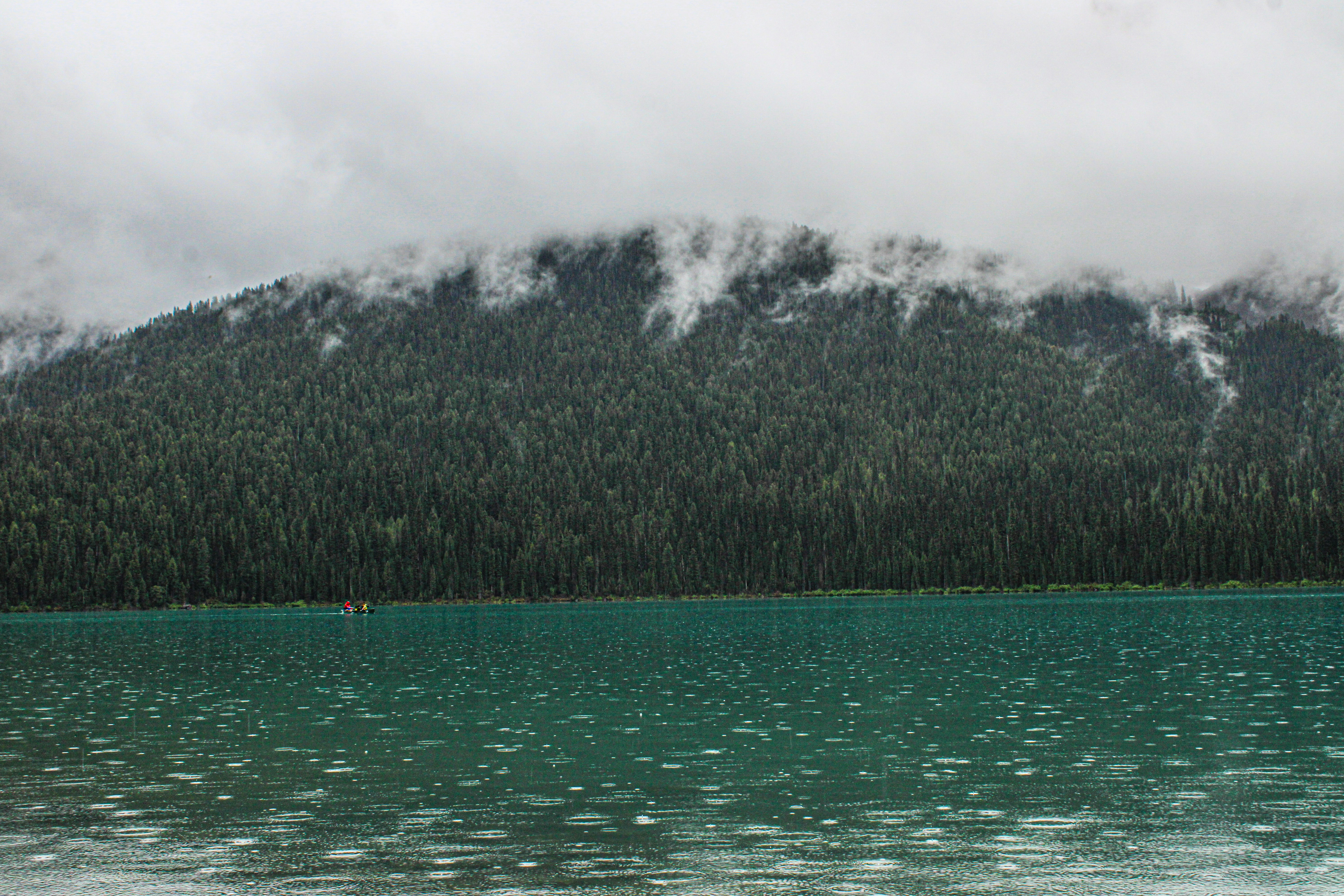 Photo by prphotography262