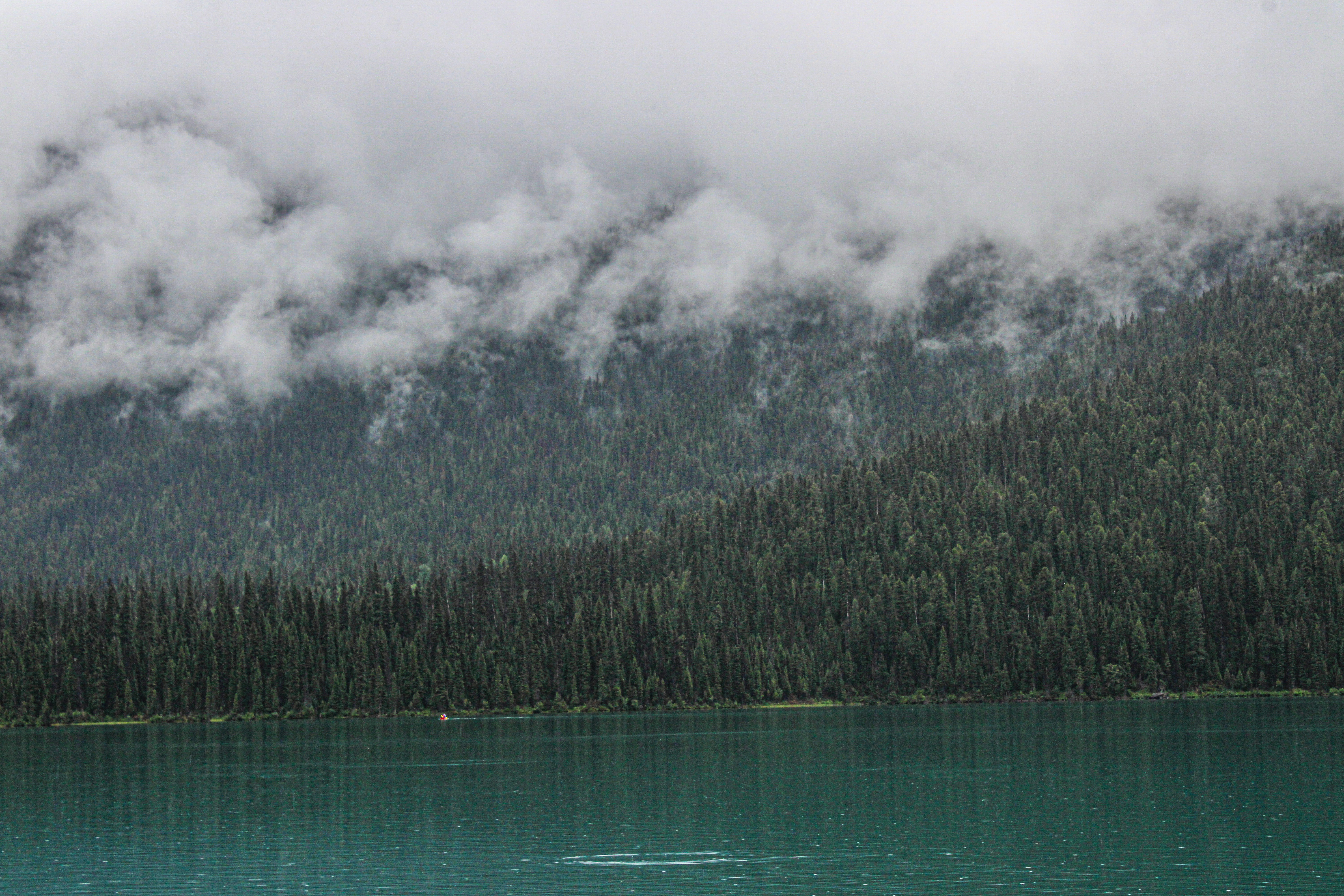 Photo by prphotography262