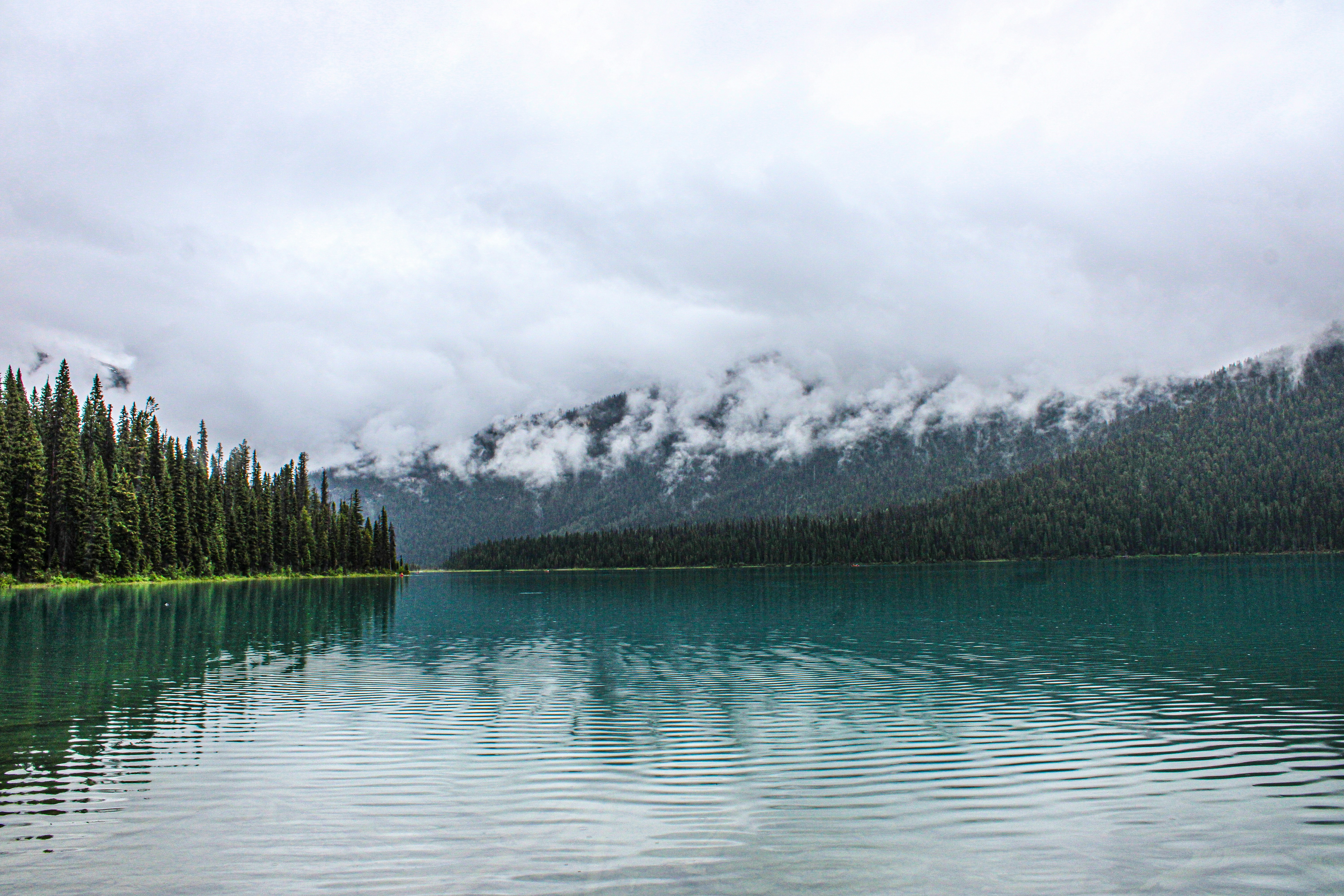 Photo by prphotography262