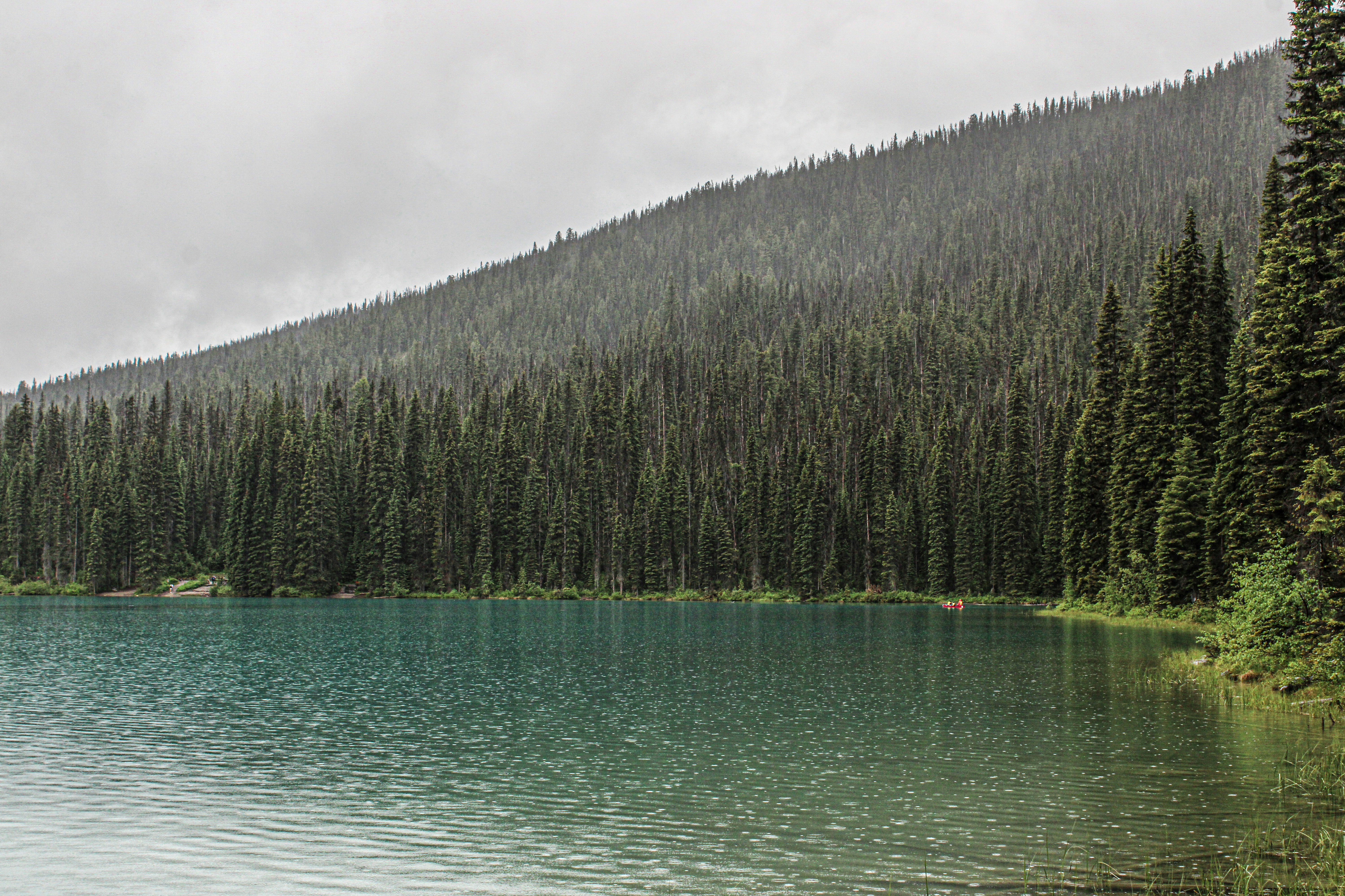 Photo by prphotography262