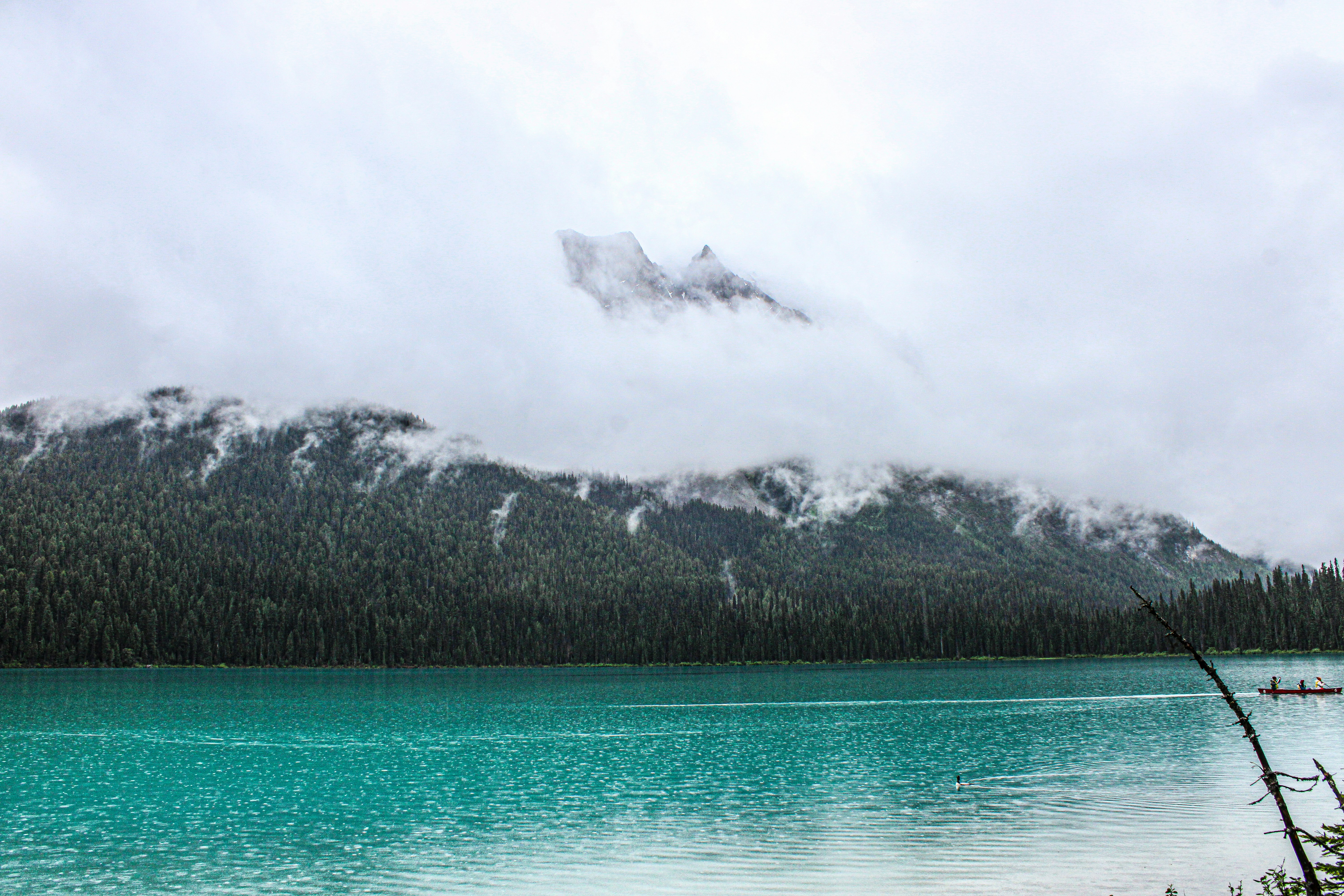 Photo by prphotography262