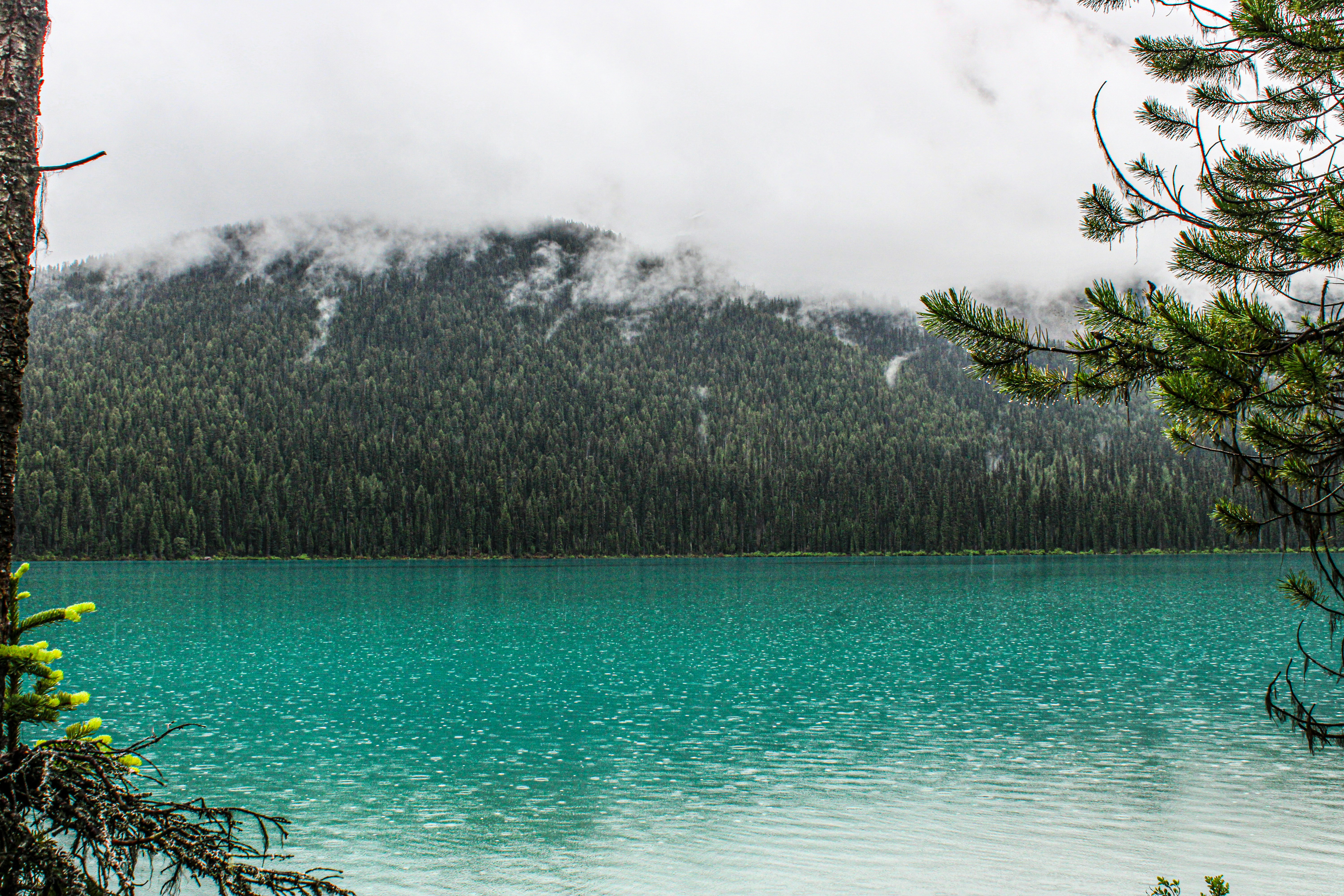 Photo by prphotography262