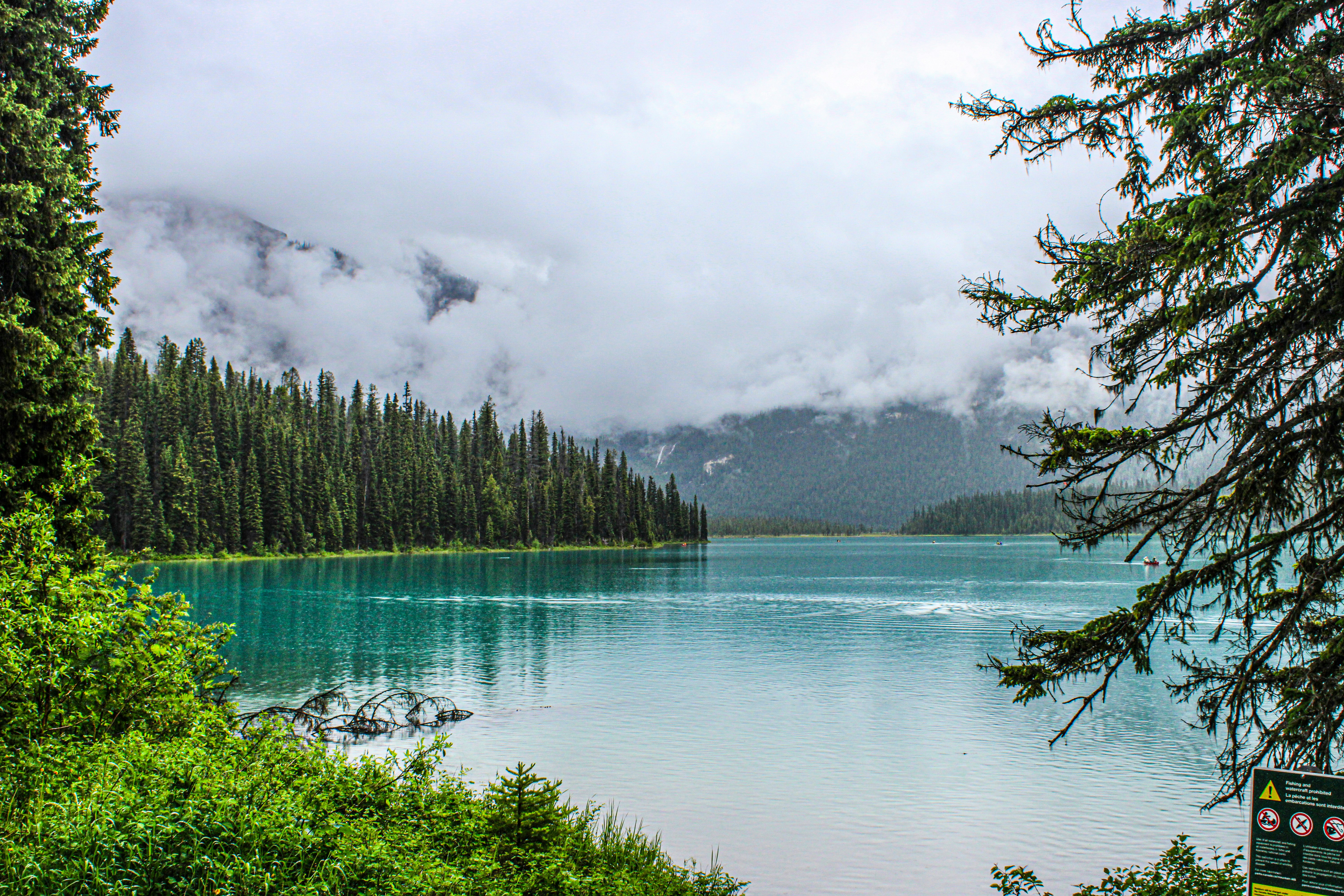 Photo by prphotography262