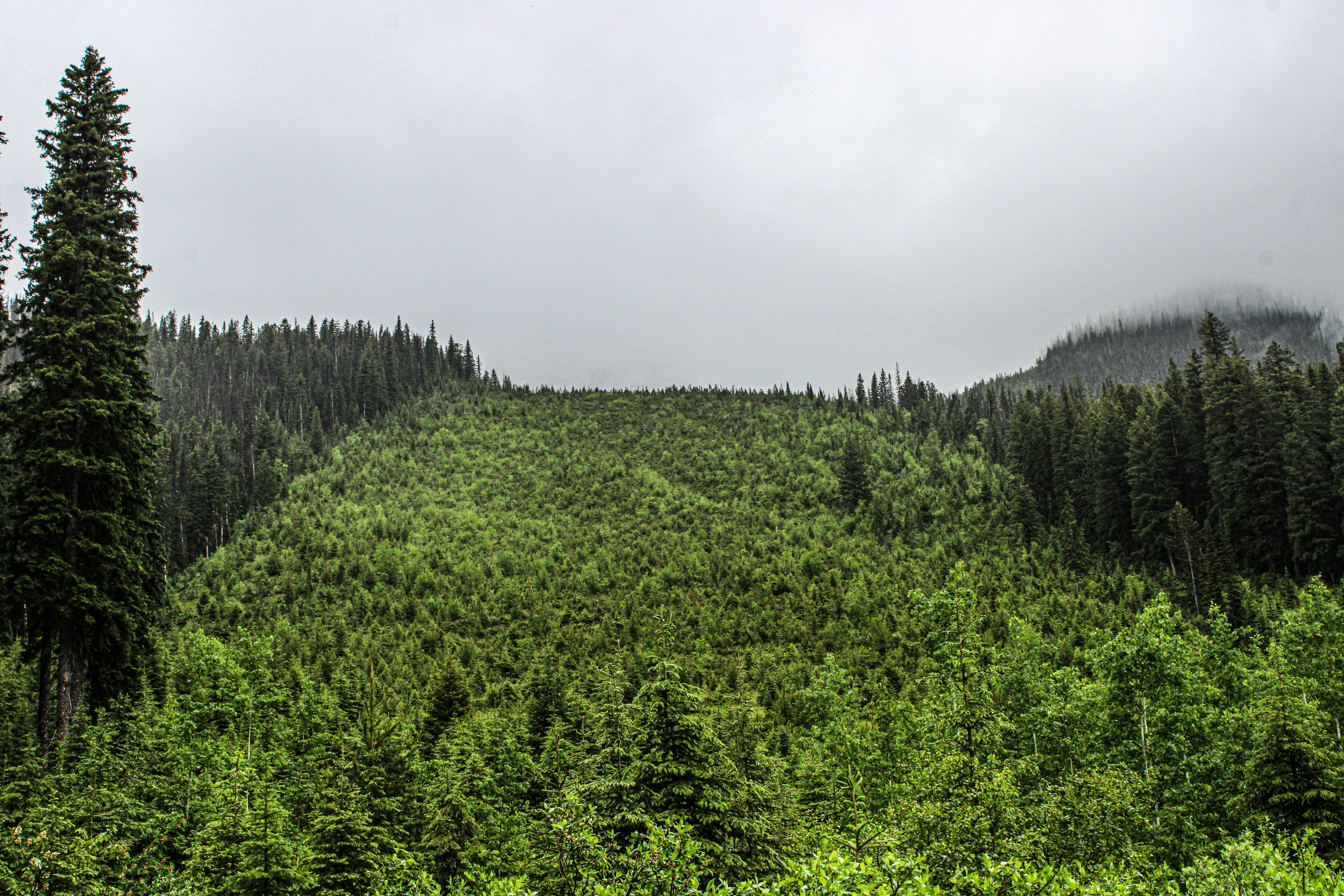 Photo by prphotography262