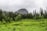 A grassy field with trees and a mountain in the background