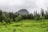 A grassy field with trees and a mountain in the background