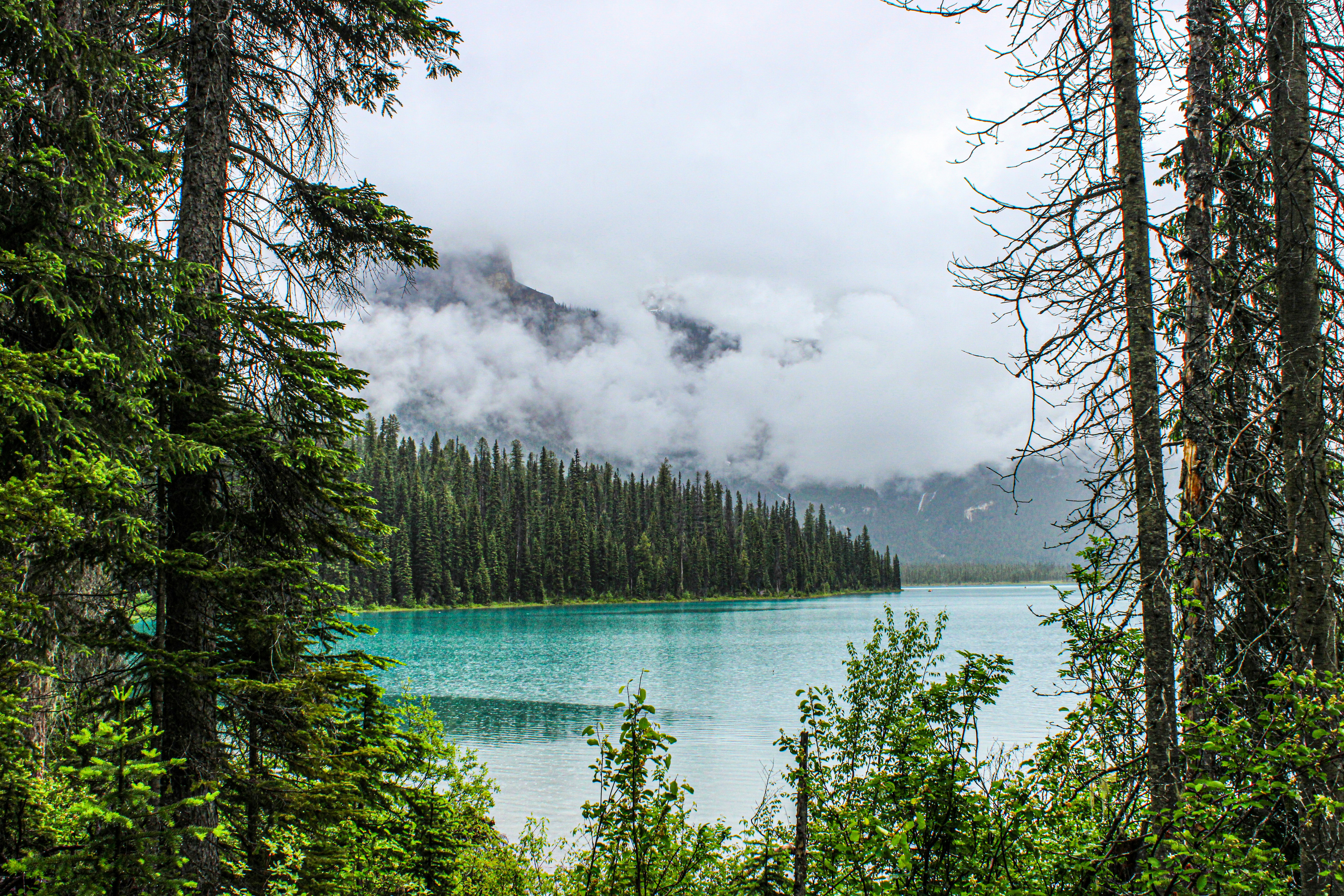 Photo by prphotography262