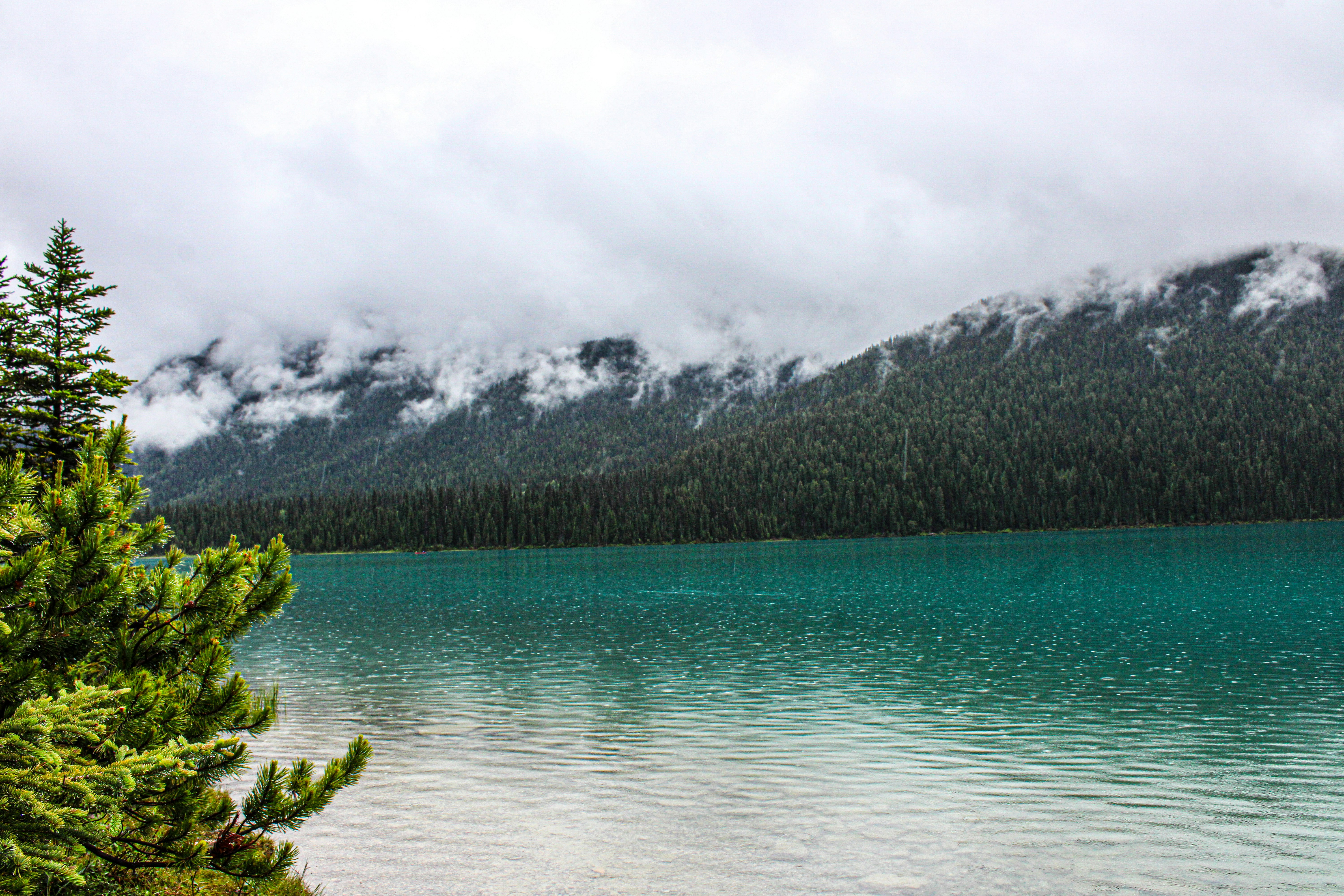 Photo by prphotography262