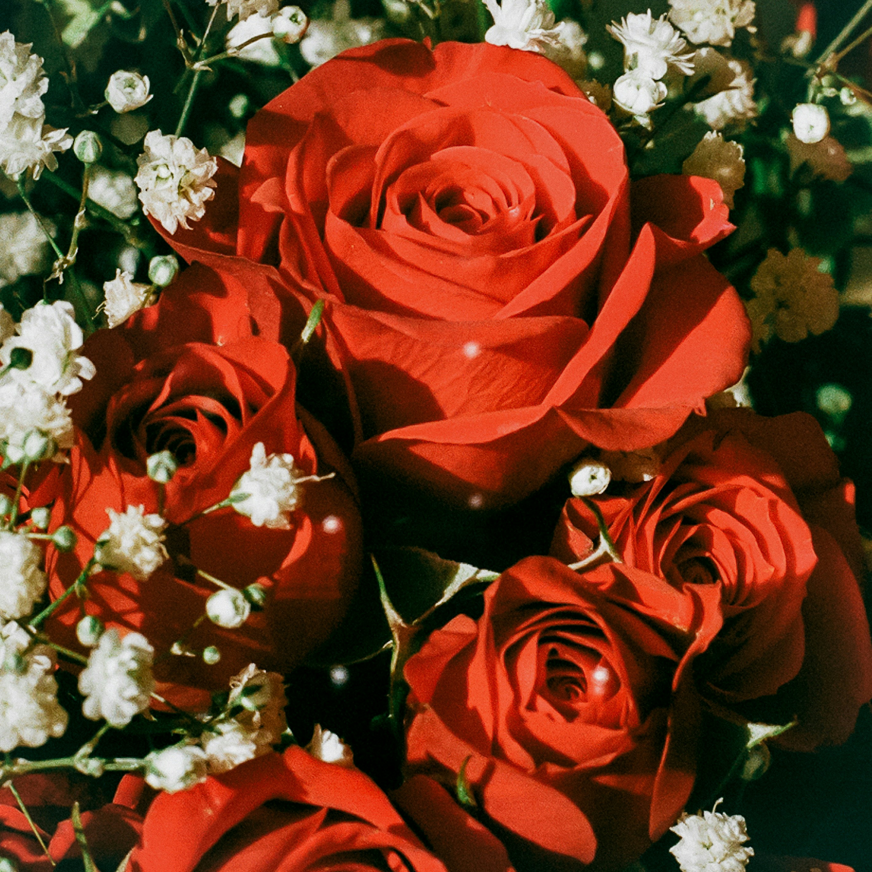 Photo by peterbbryan