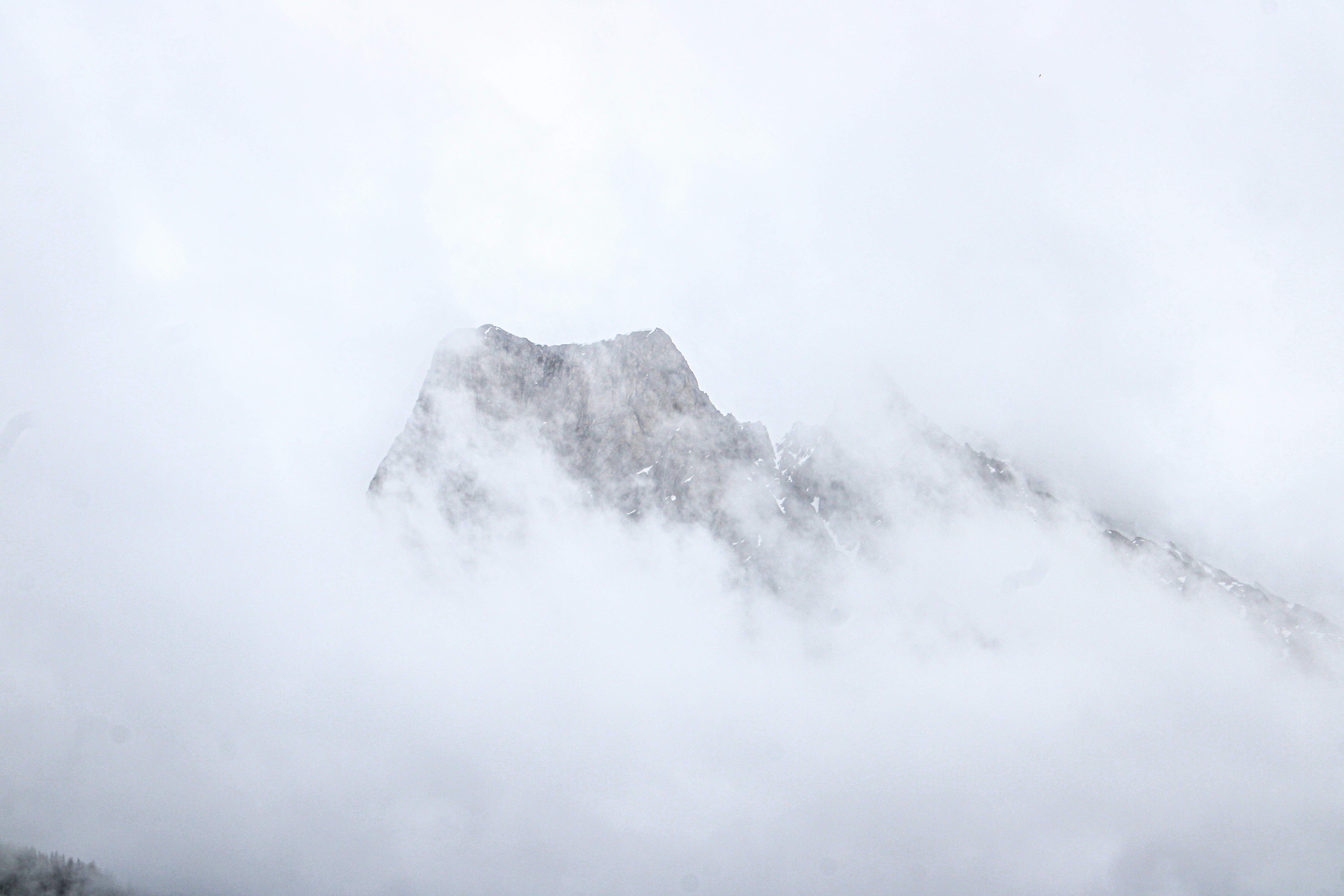 Photo by prphotography262