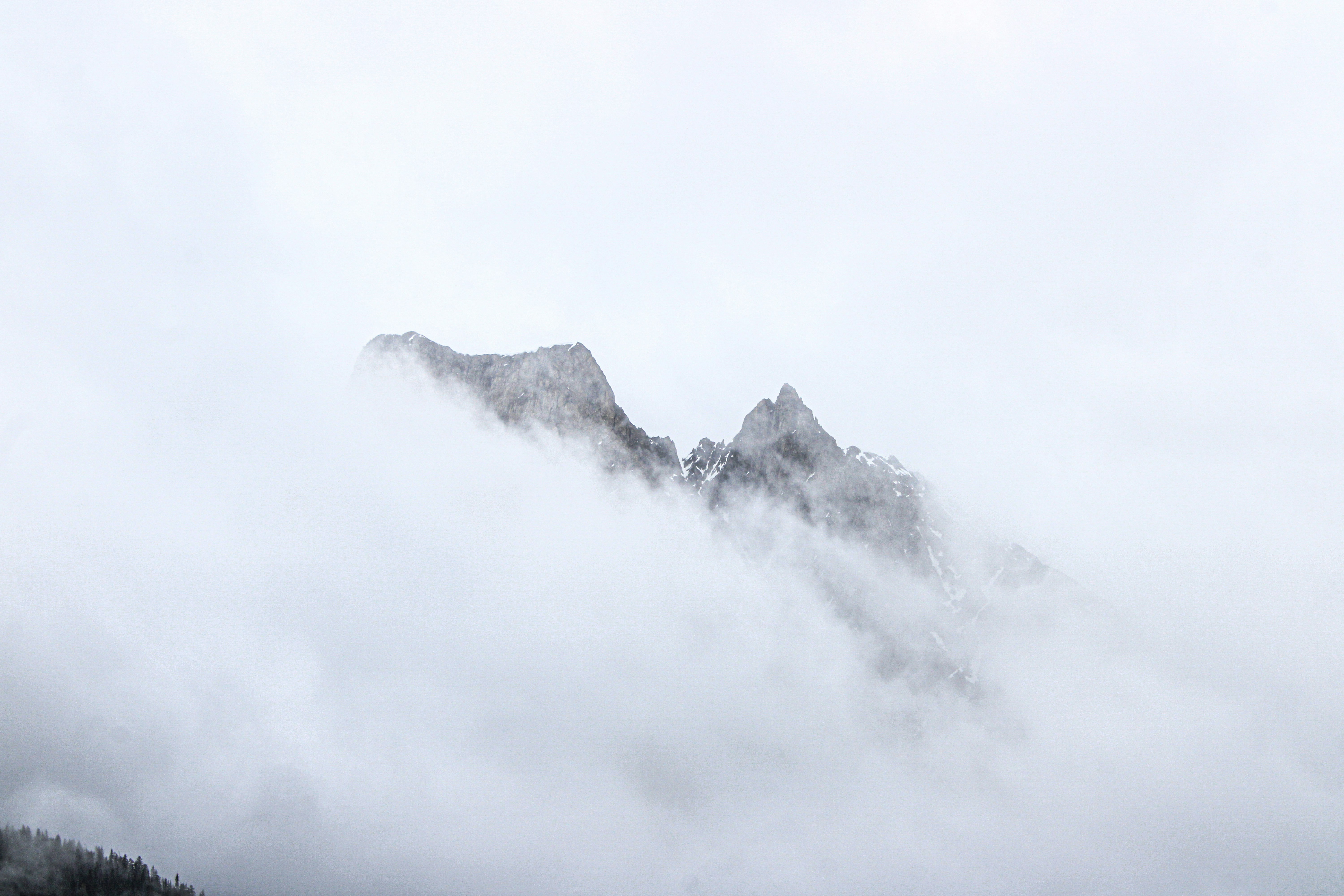 Photo by prphotography262