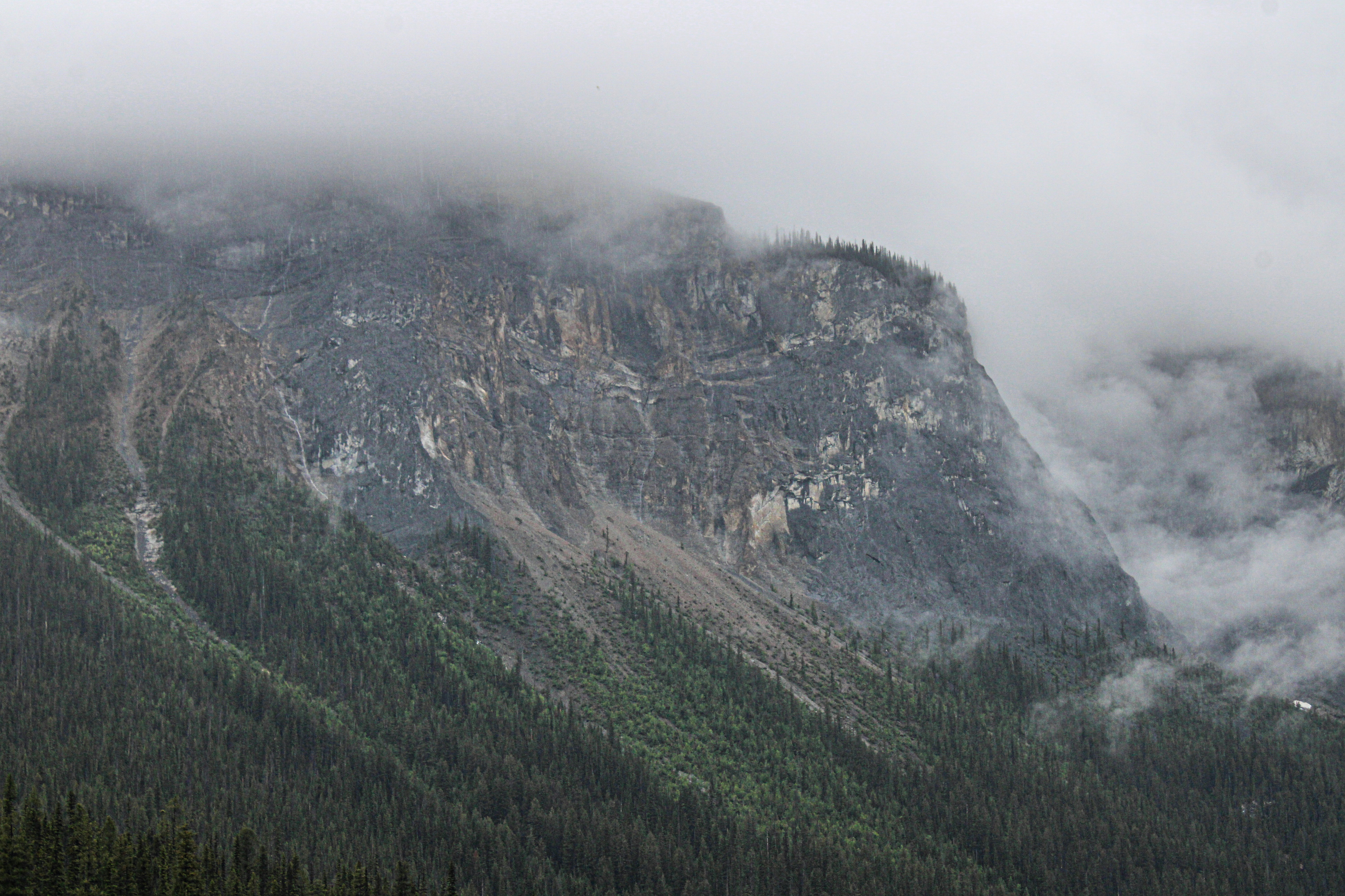 Photo by prphotography262