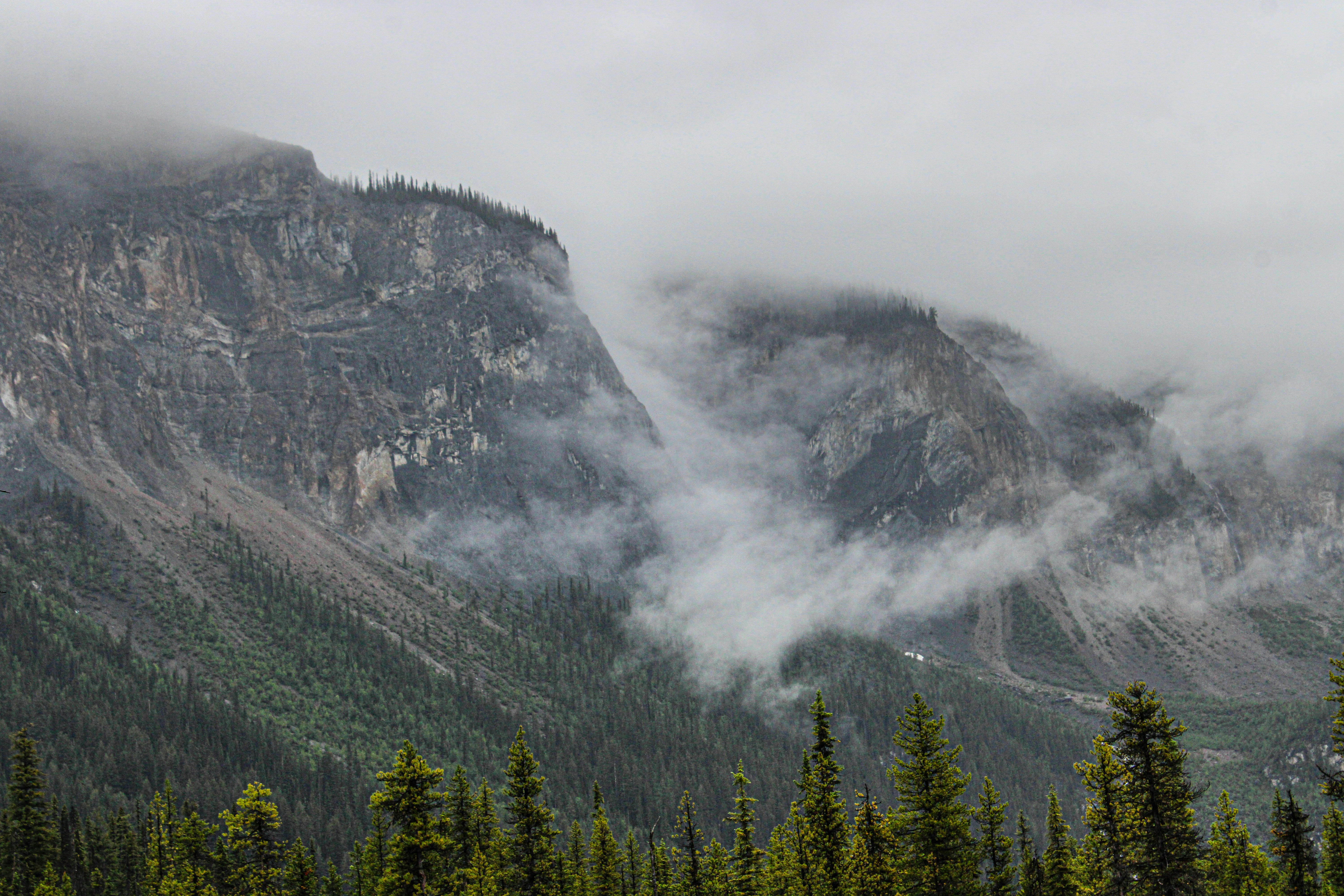 Photo by prphotography262