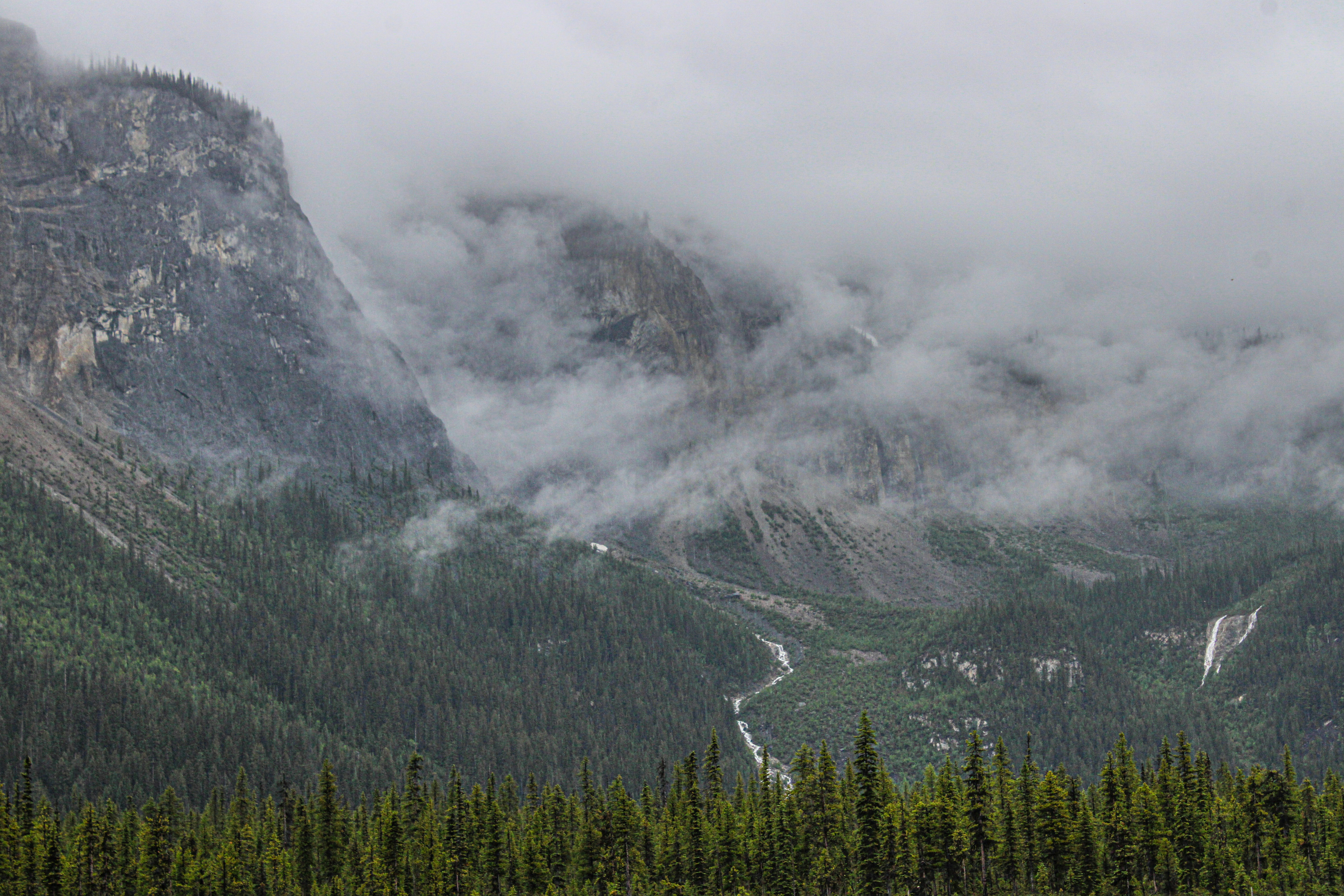 Photo by prphotography262