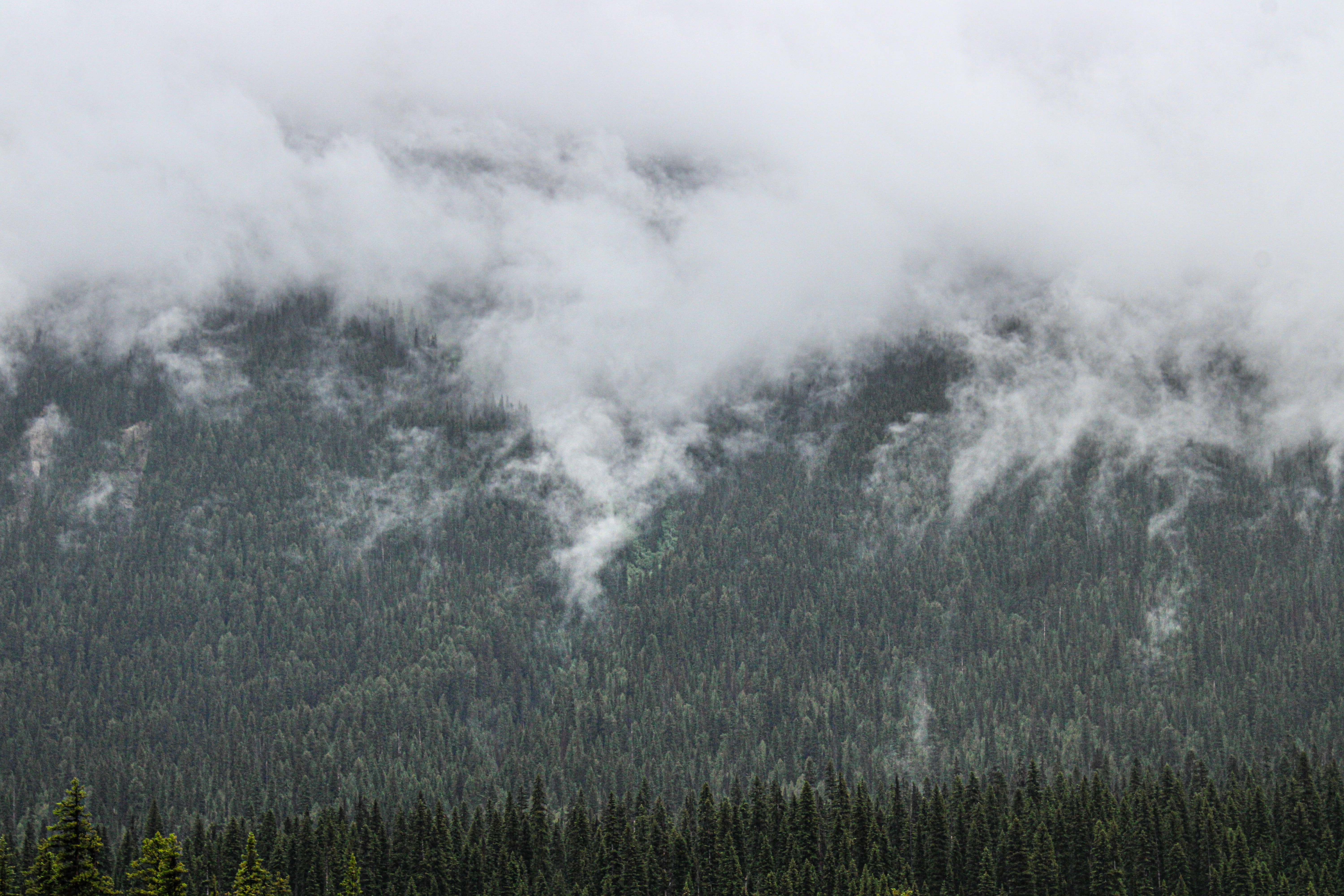 Photo by prphotography262