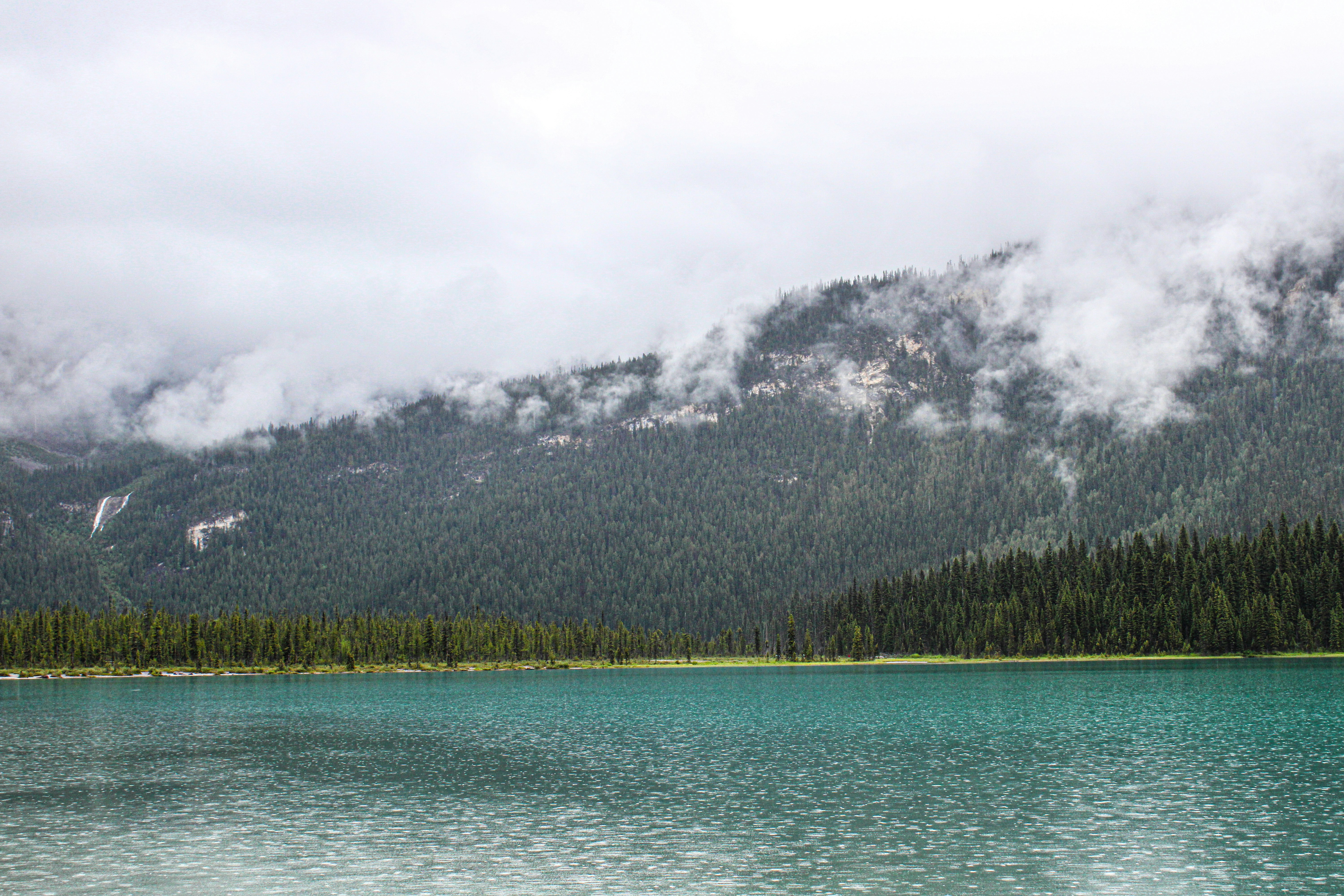 Photo by prphotography262