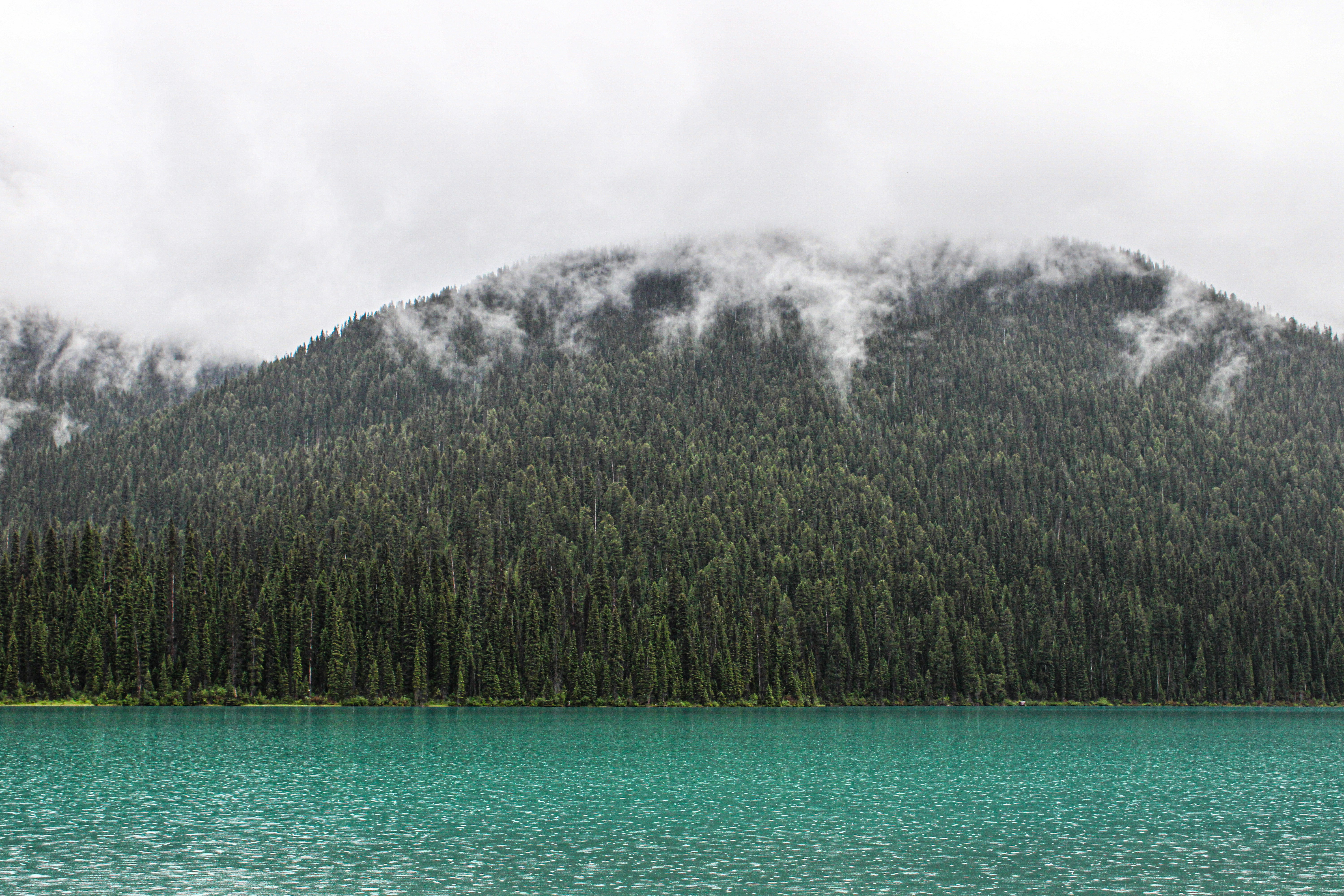 Photo by prphotography262