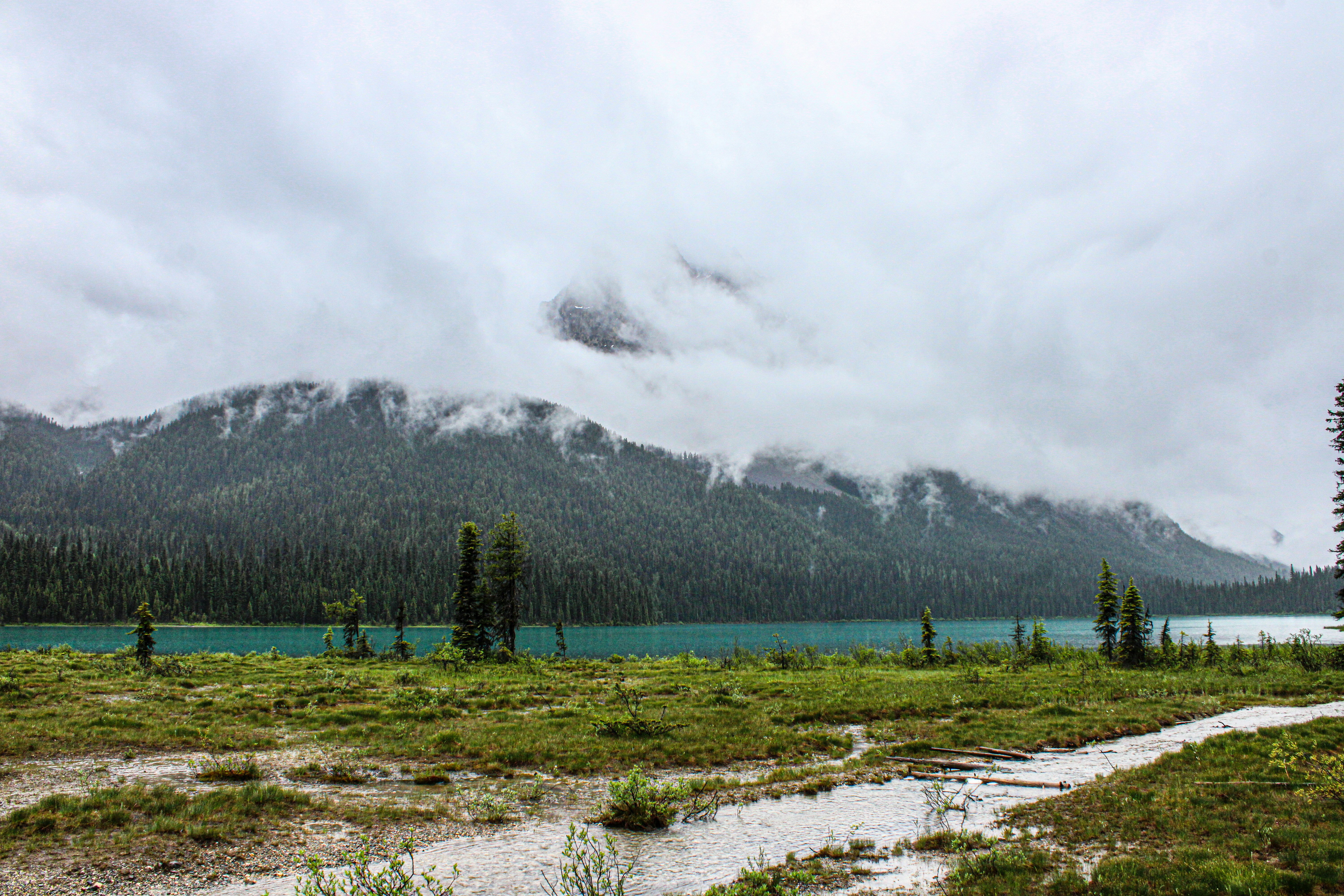 Photo by prphotography262