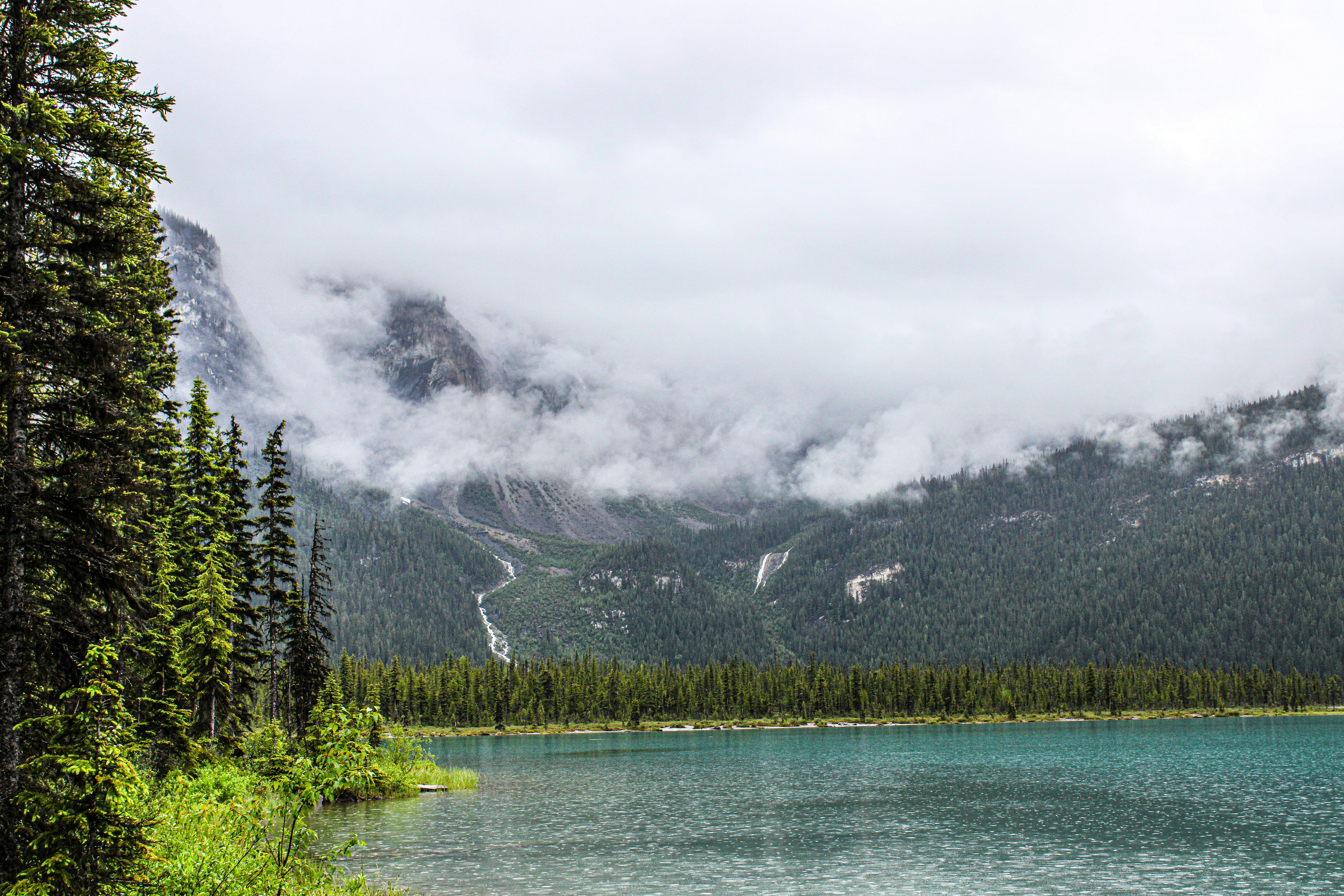 Photo by prphotography262