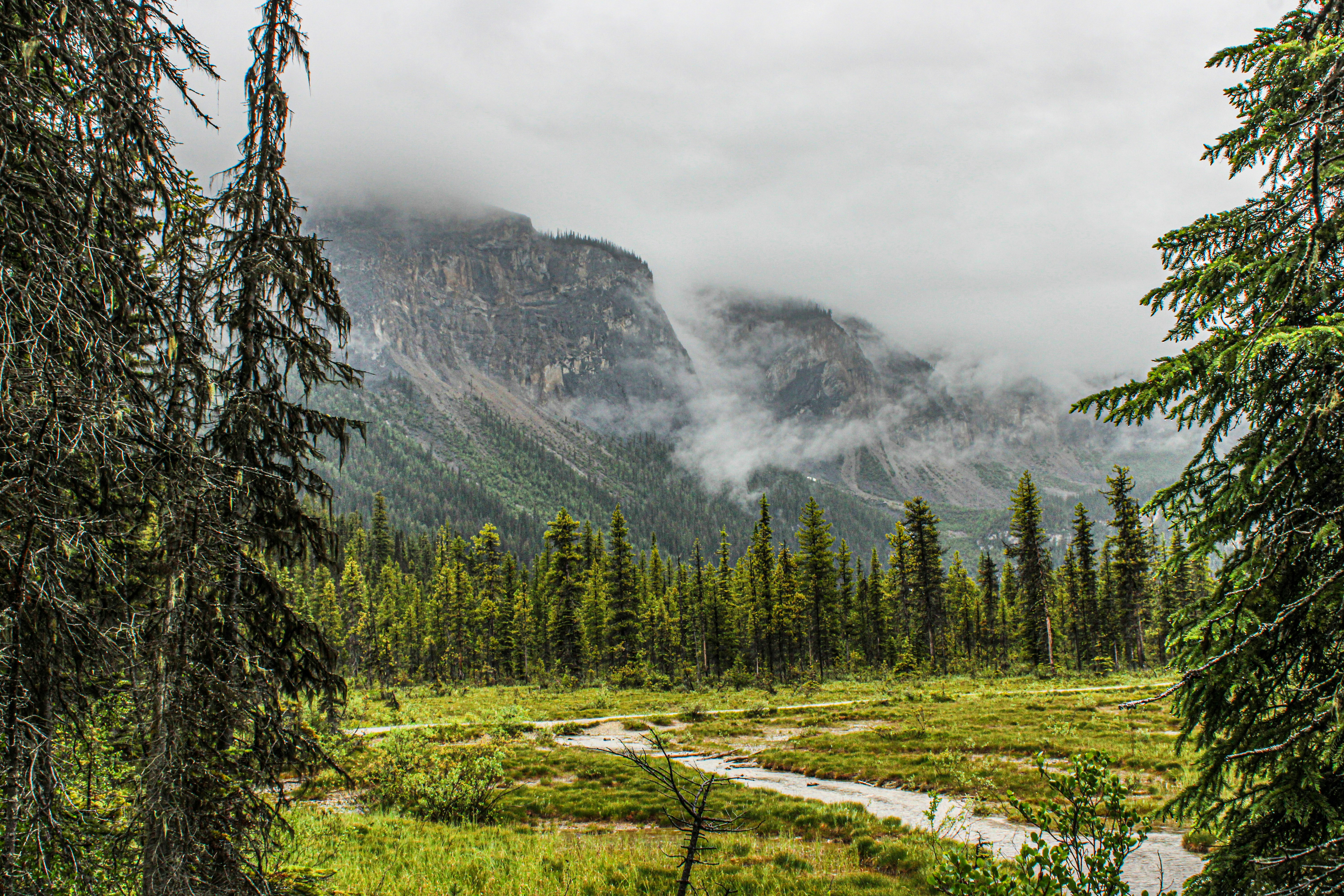 Photo by prphotography262