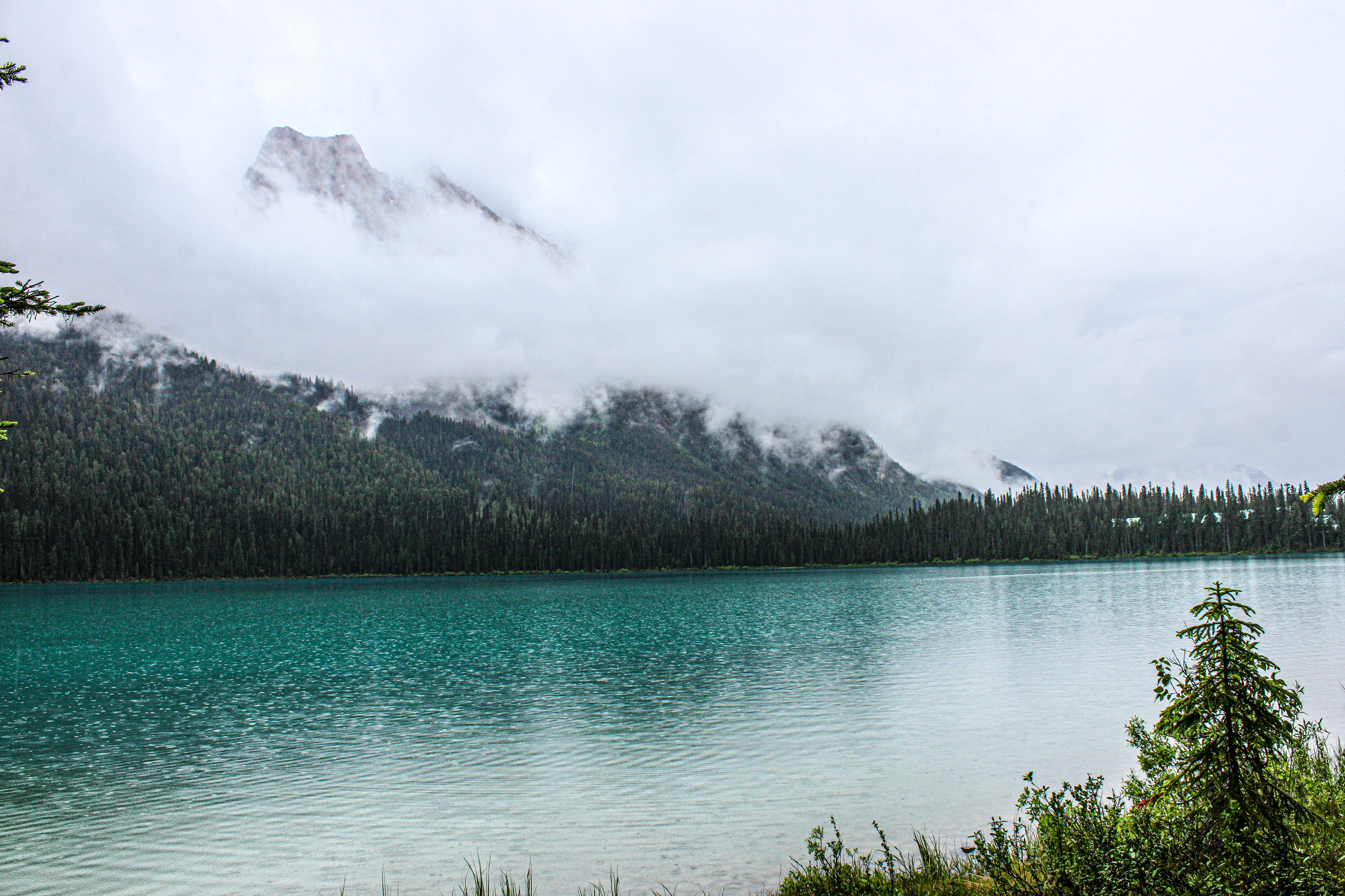 Photo by prphotography262