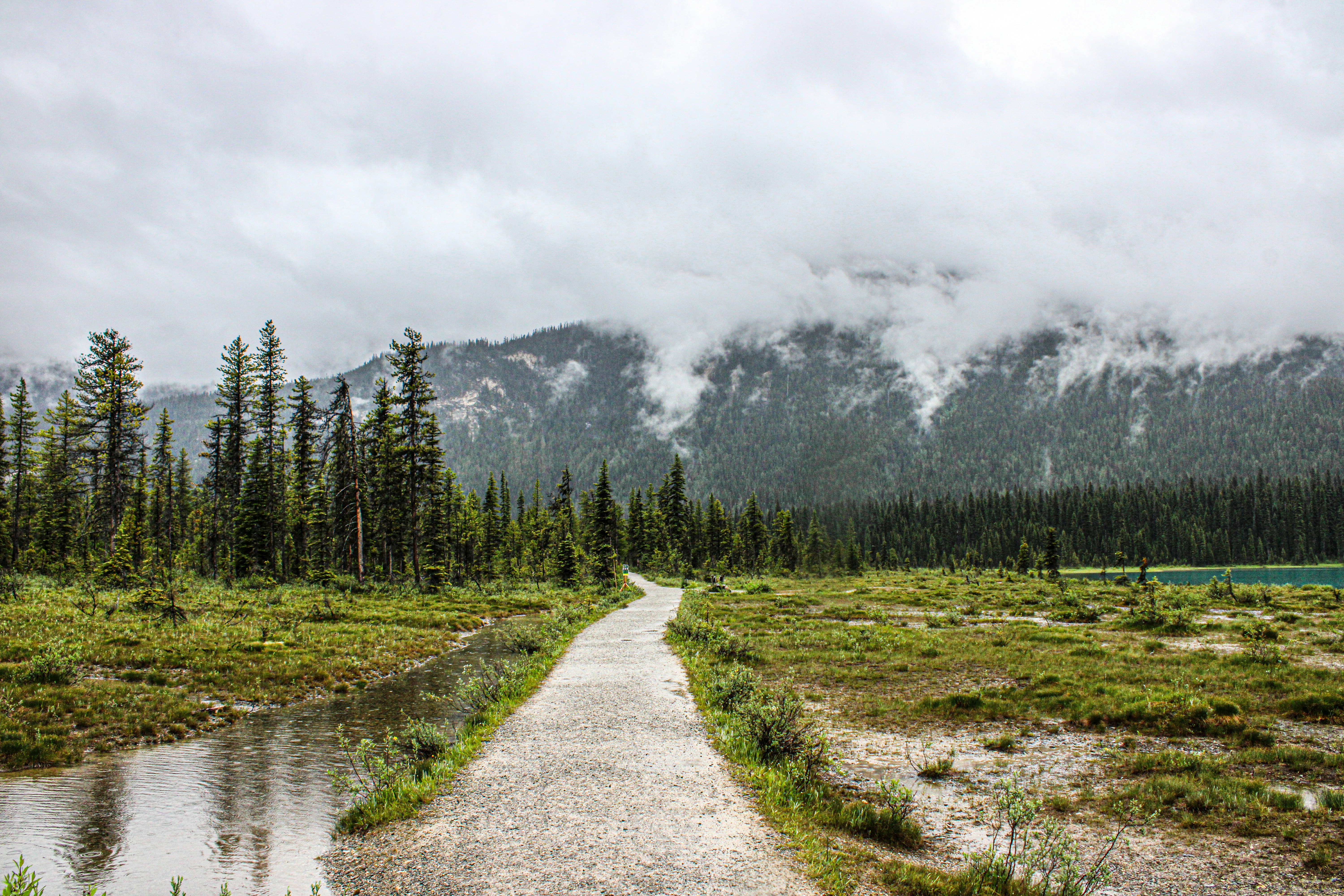 Photo by prphotography262