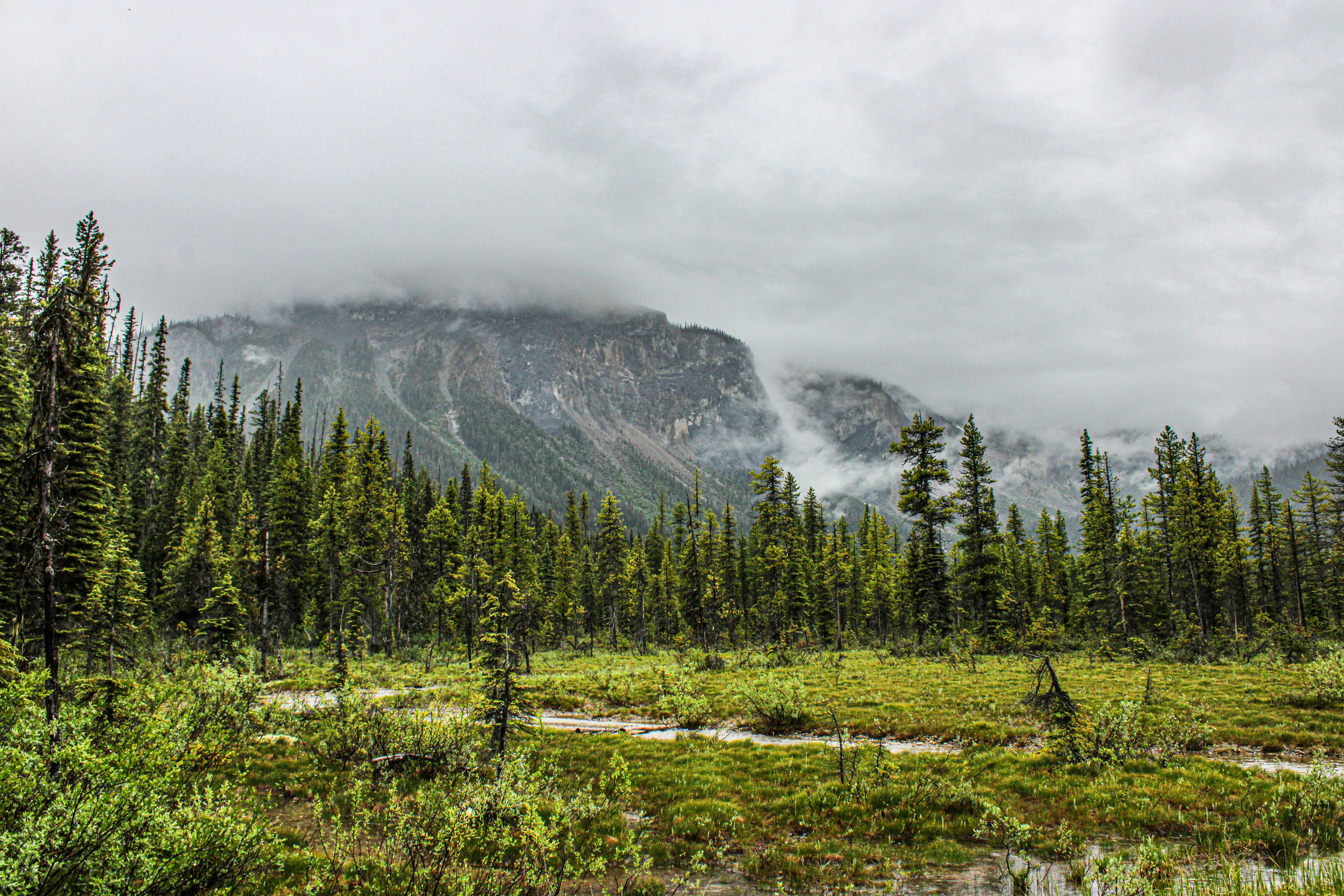 Photo by prphotography262