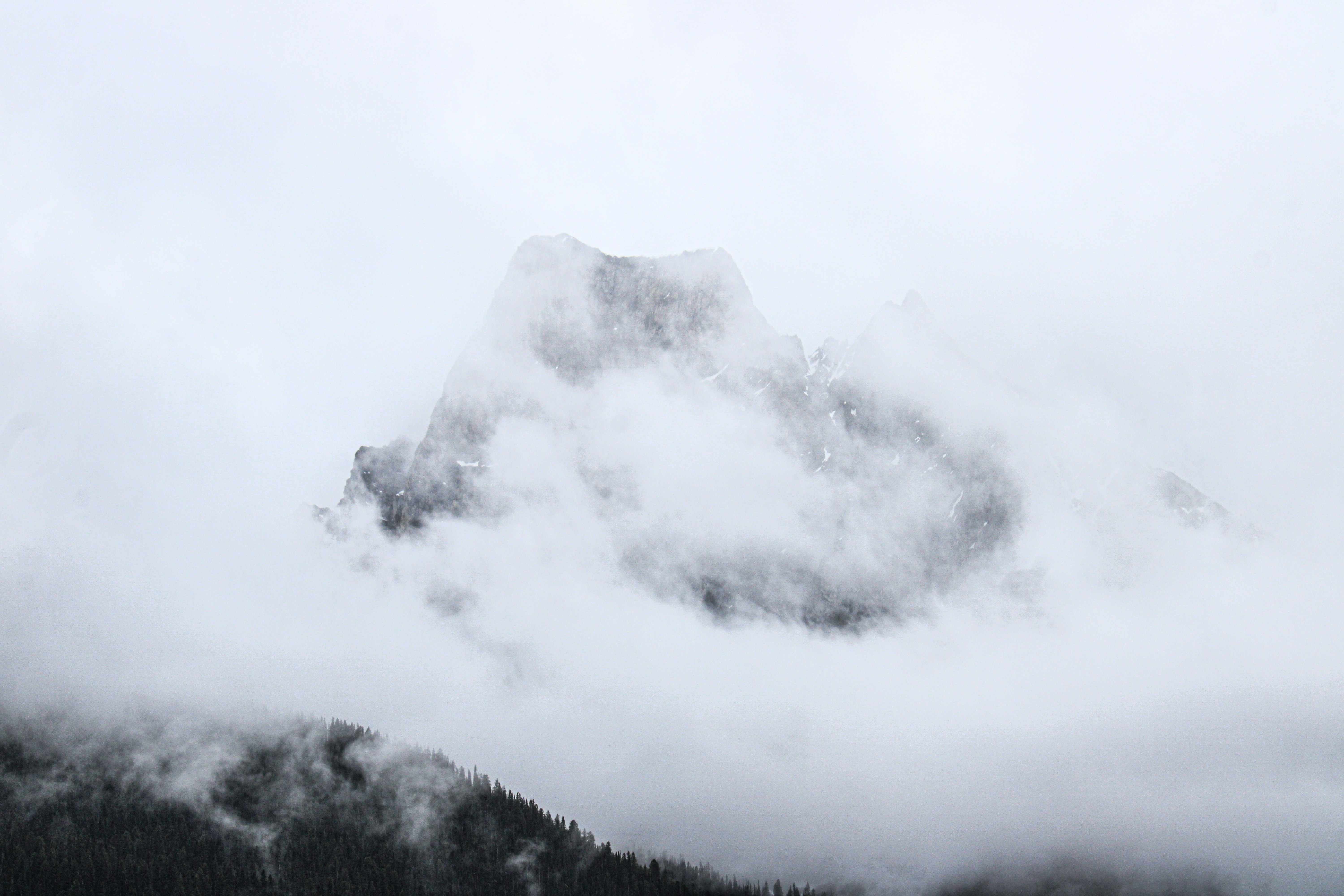 Photo by prphotography262