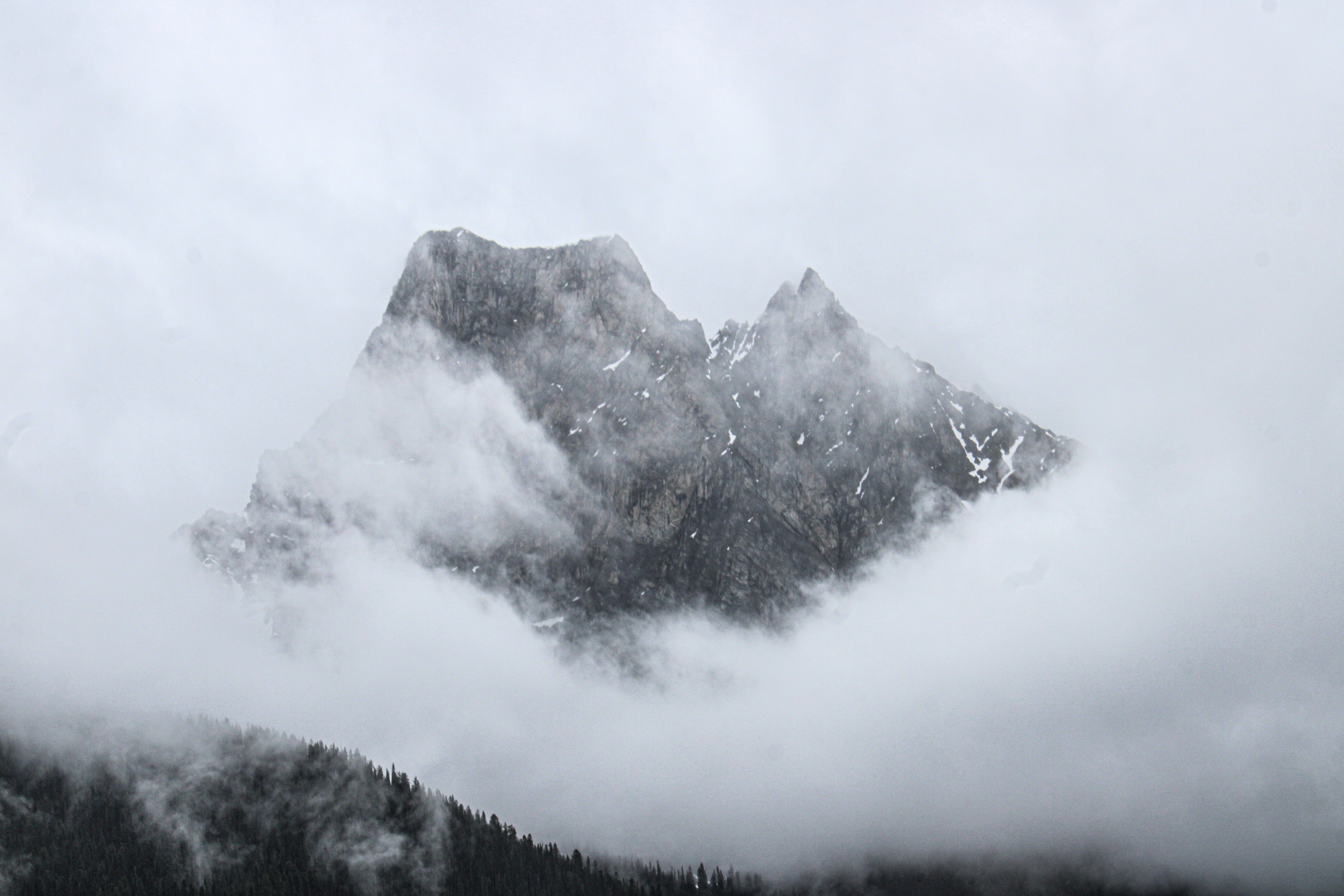 Photo by prphotography262