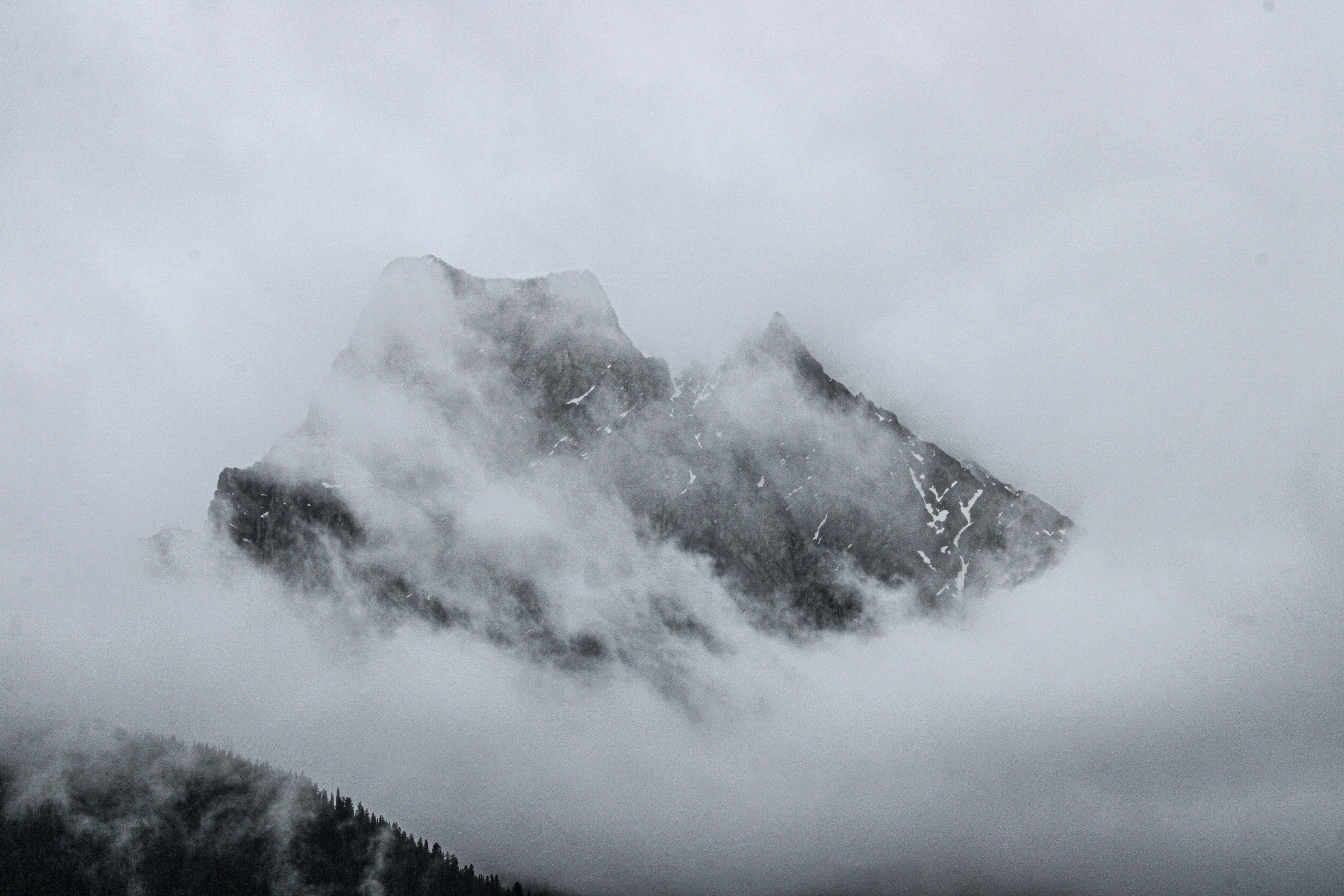 Photo by prphotography262