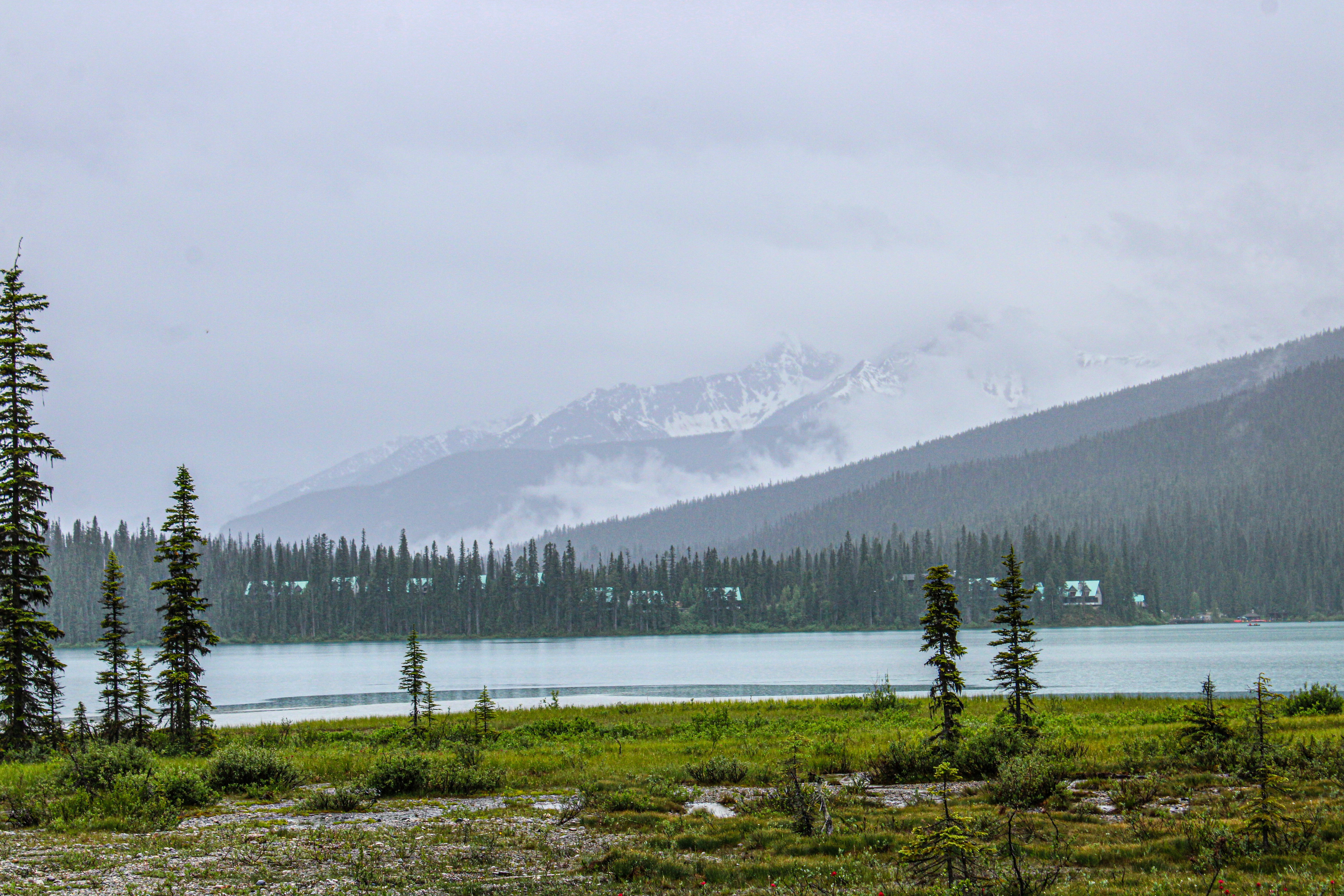 Photo by prphotography262