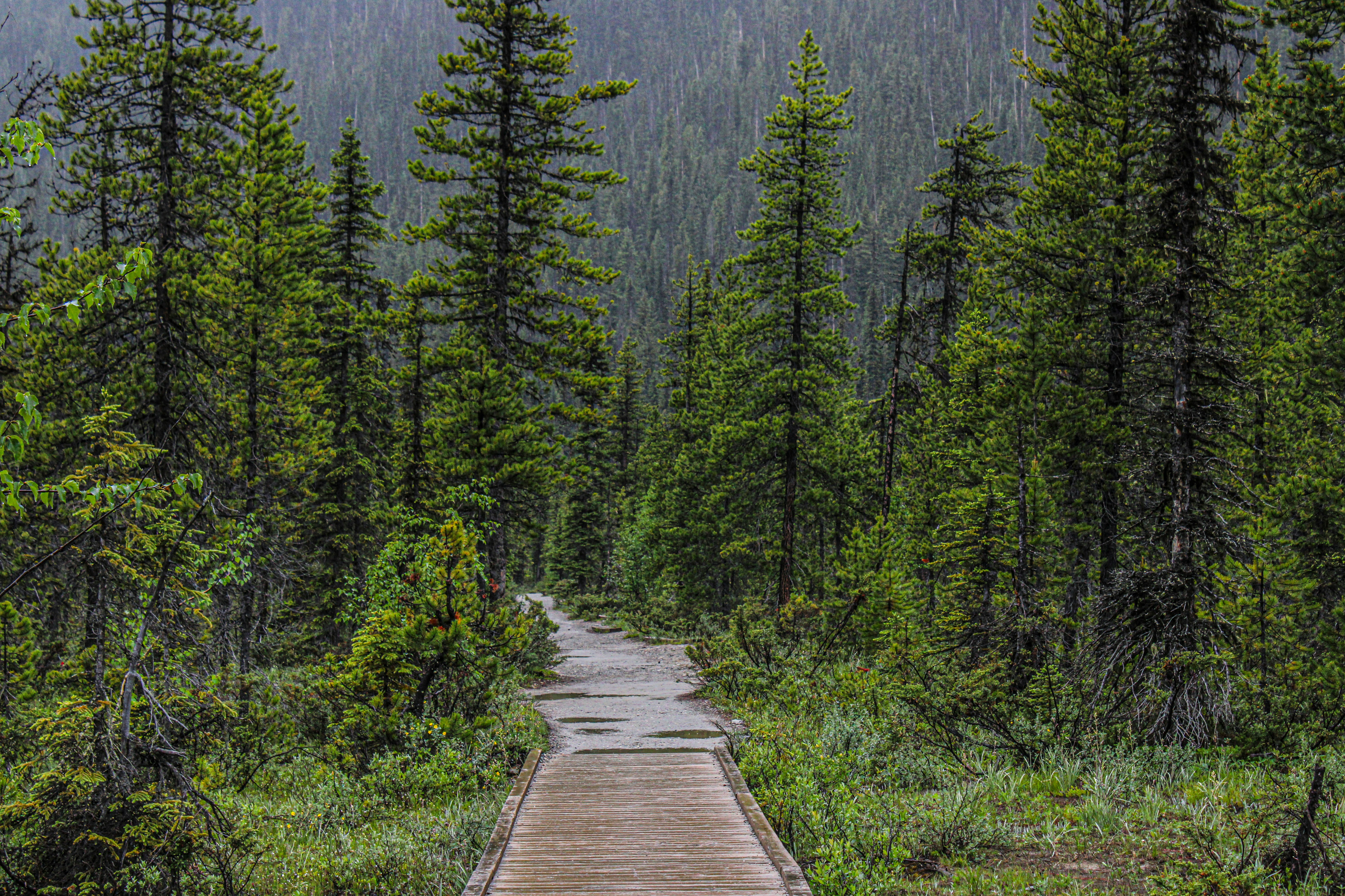 Photo by prphotography262