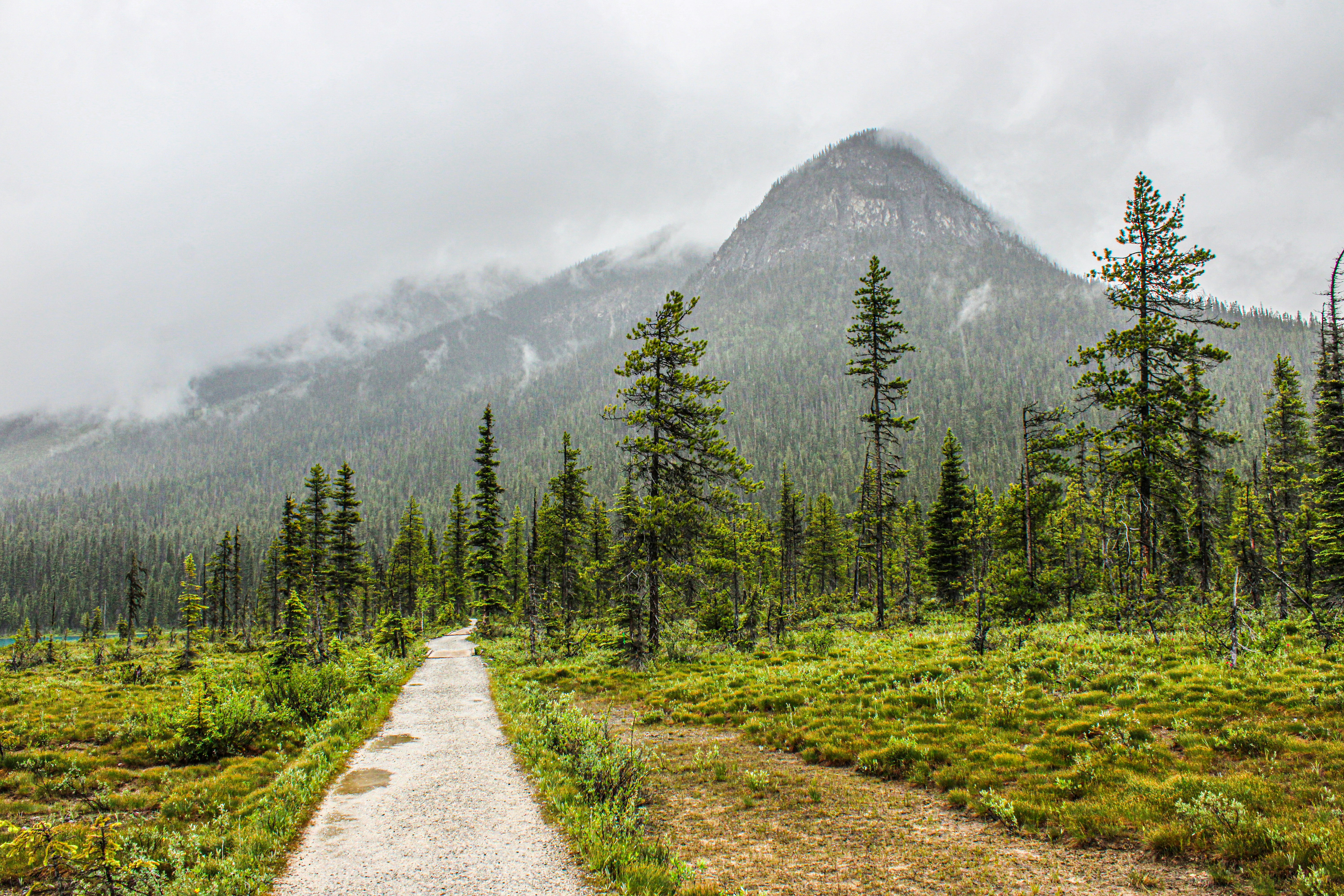 Photo by prphotography262