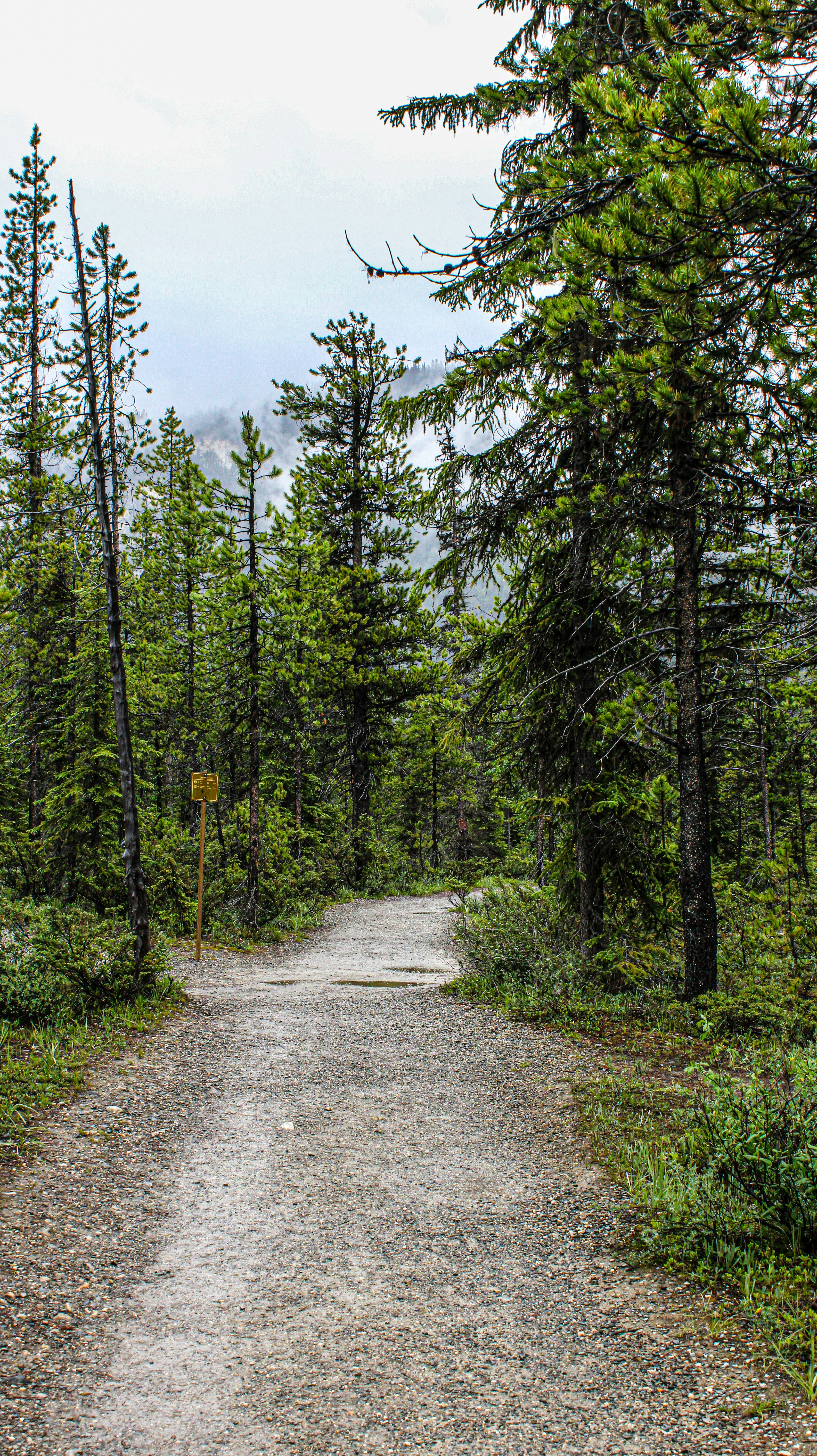 Photo by prphotography262