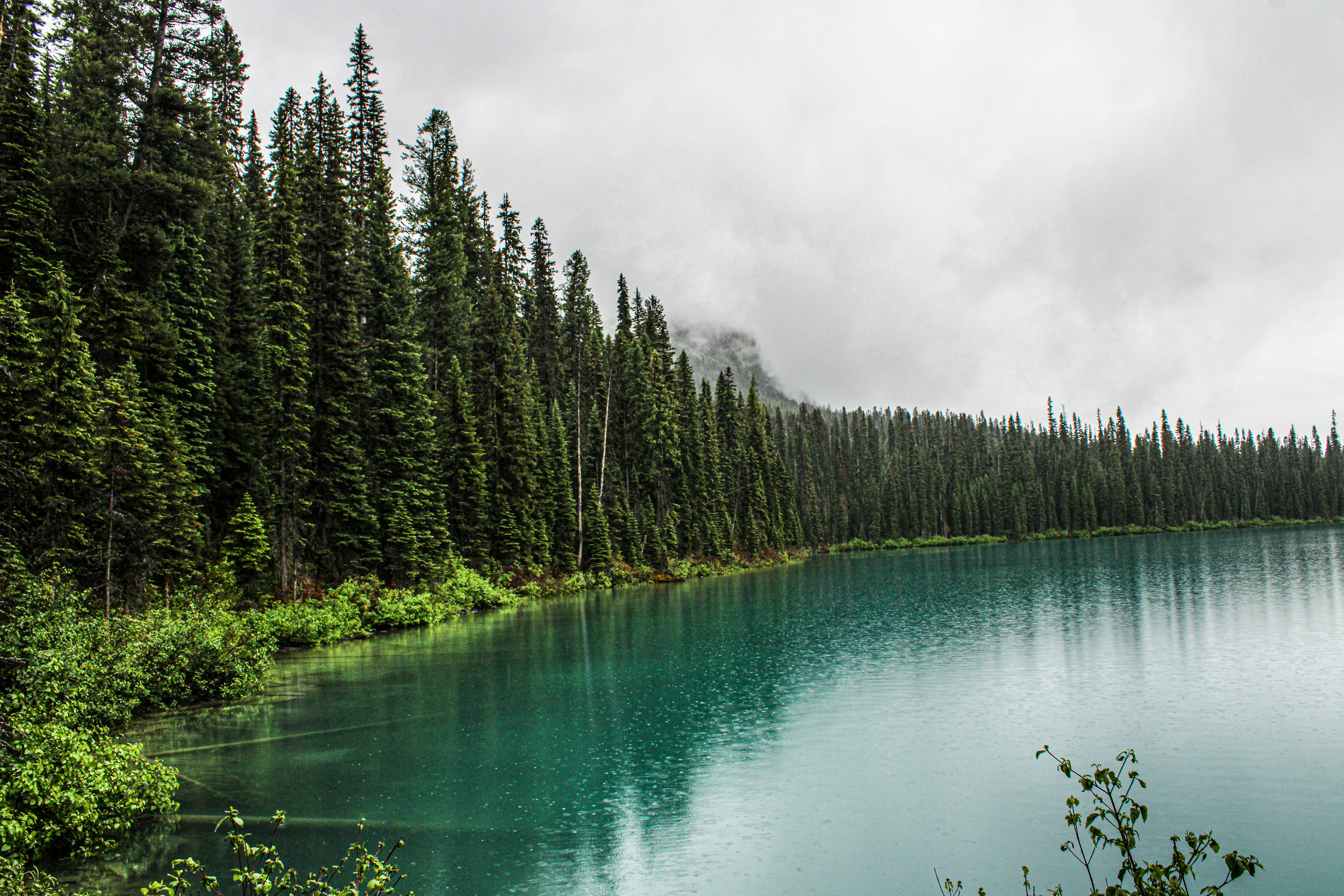 Photo by prphotography262