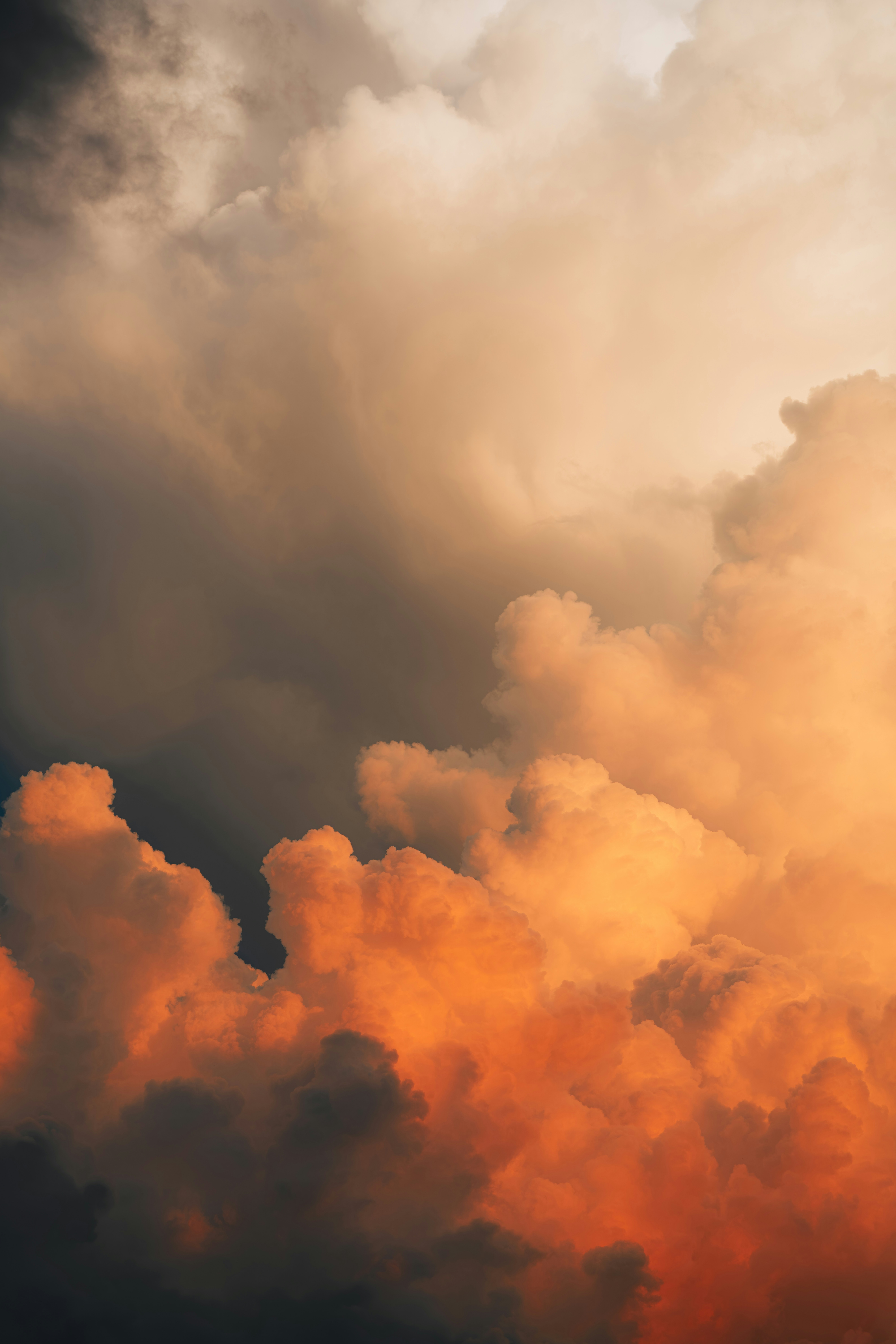 Photo by damiankravchuk