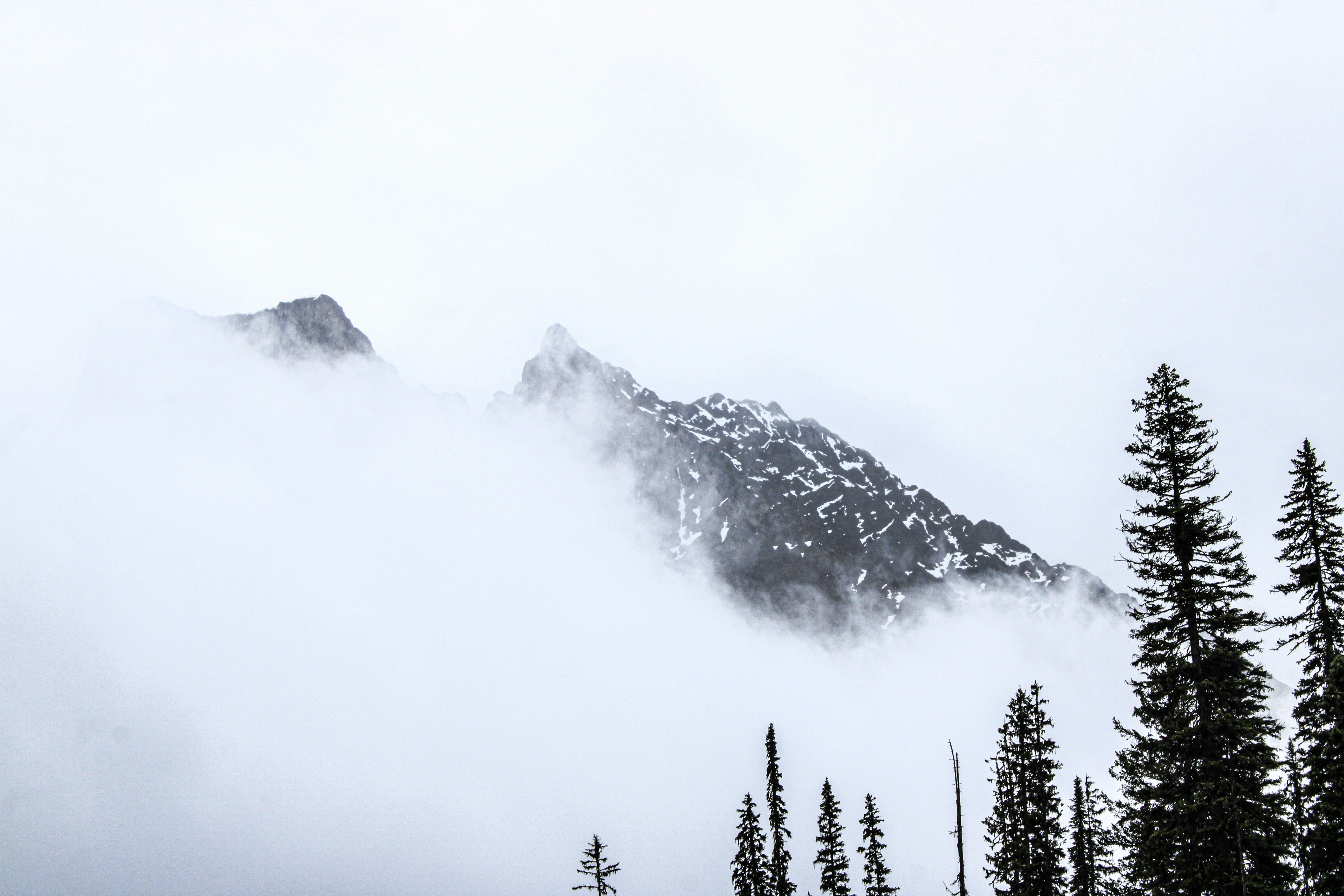 Photo by prphotography262