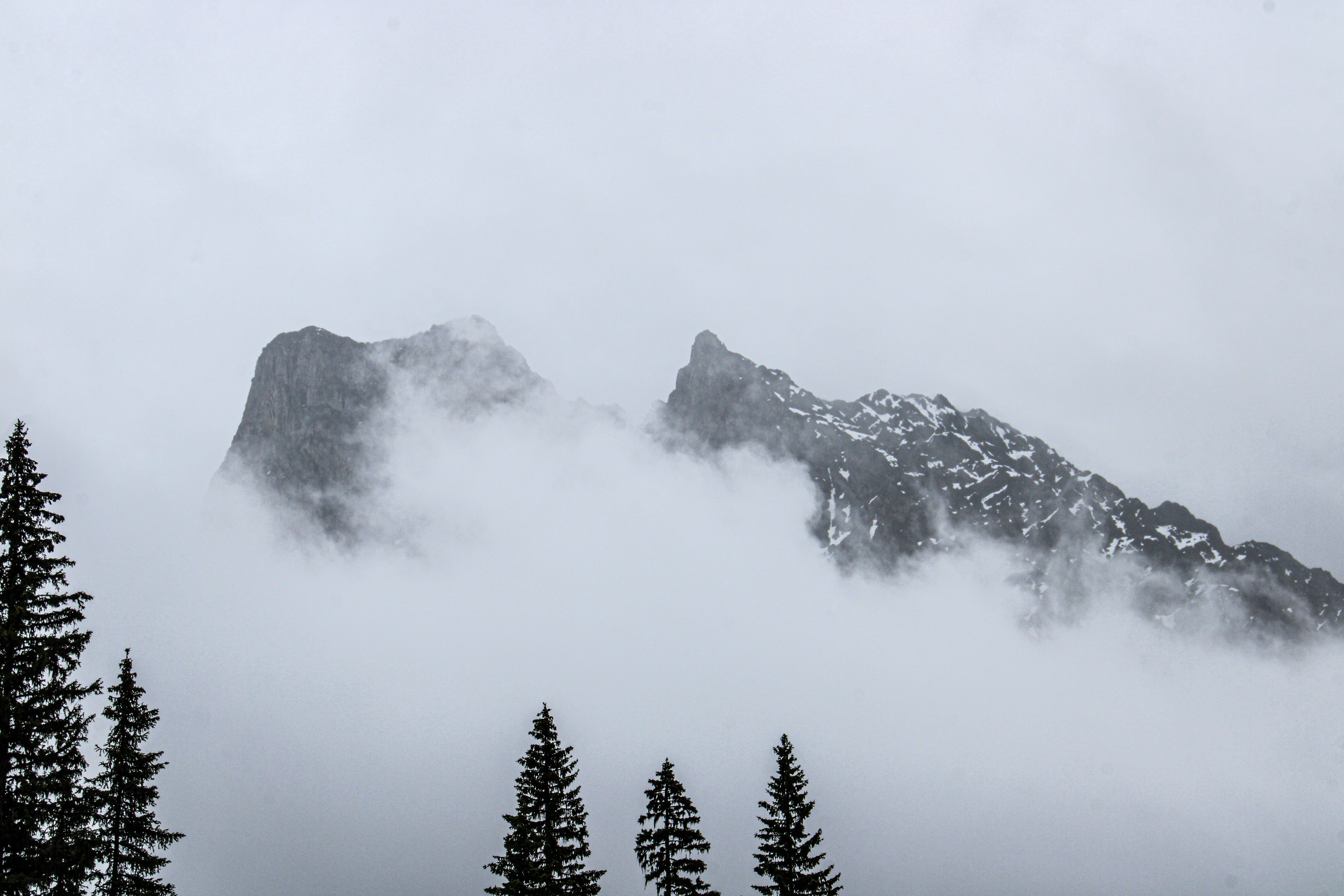 Photo by prphotography262