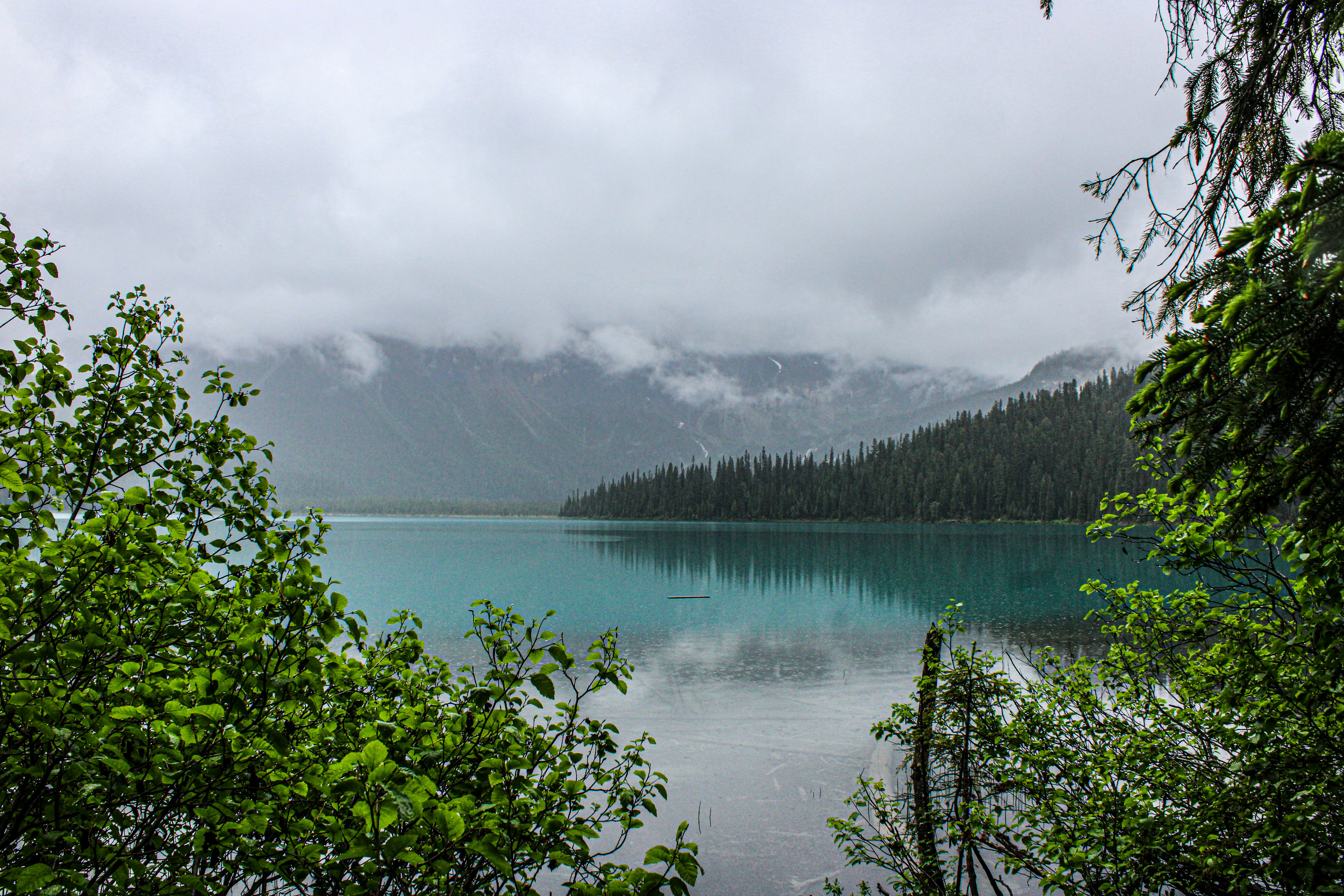 Photo by prphotography262