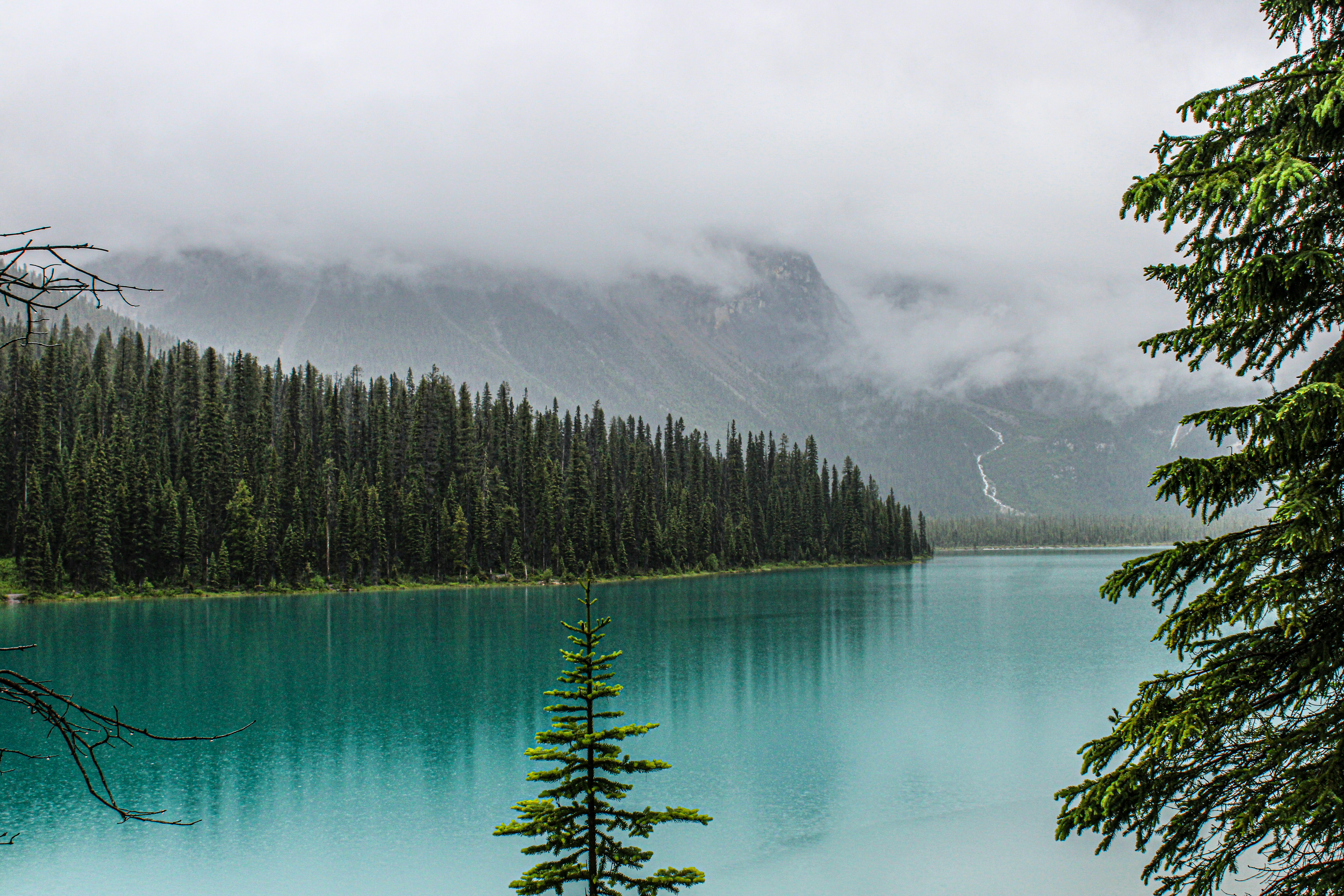 Photo by prphotography262