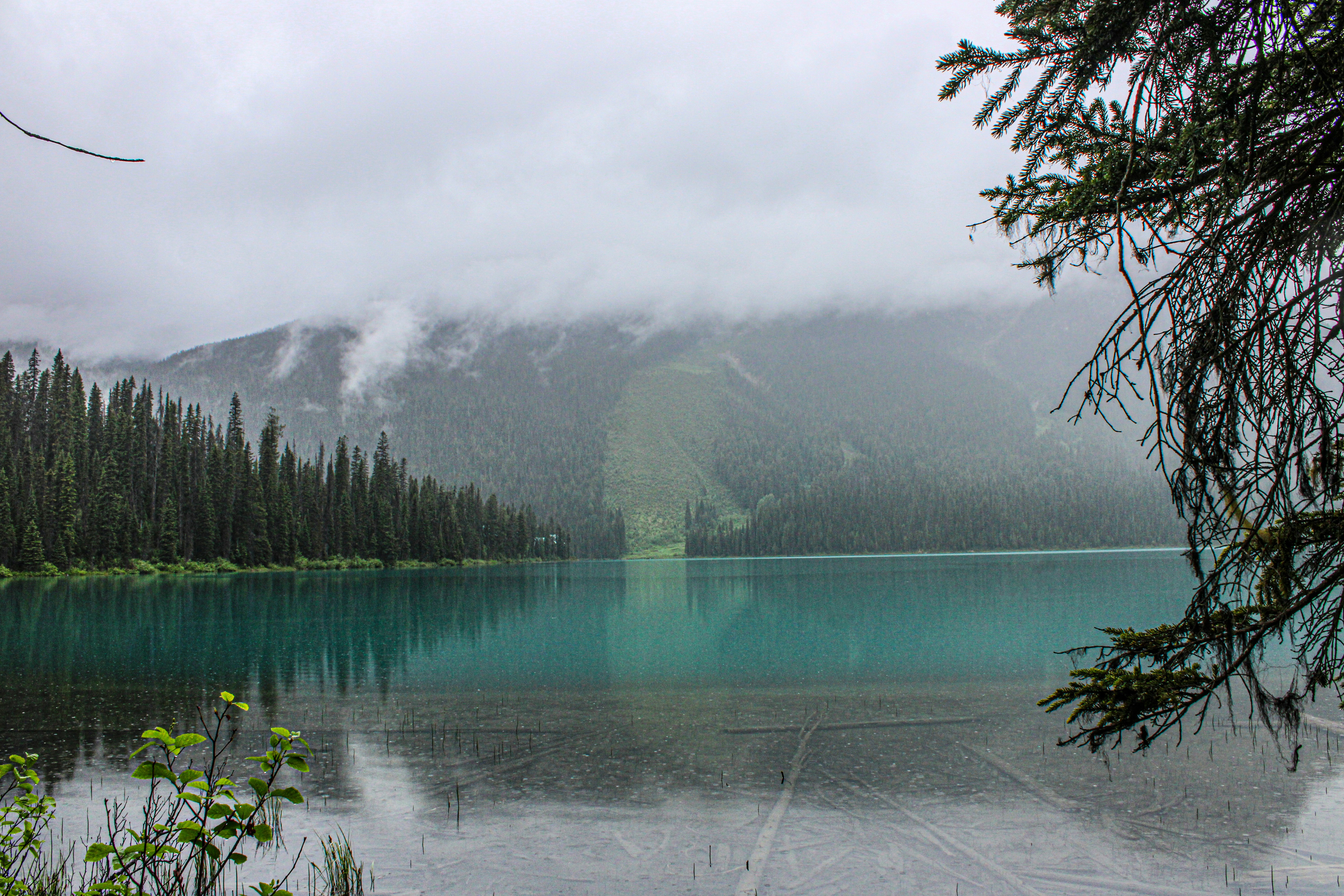 Photo by prphotography262