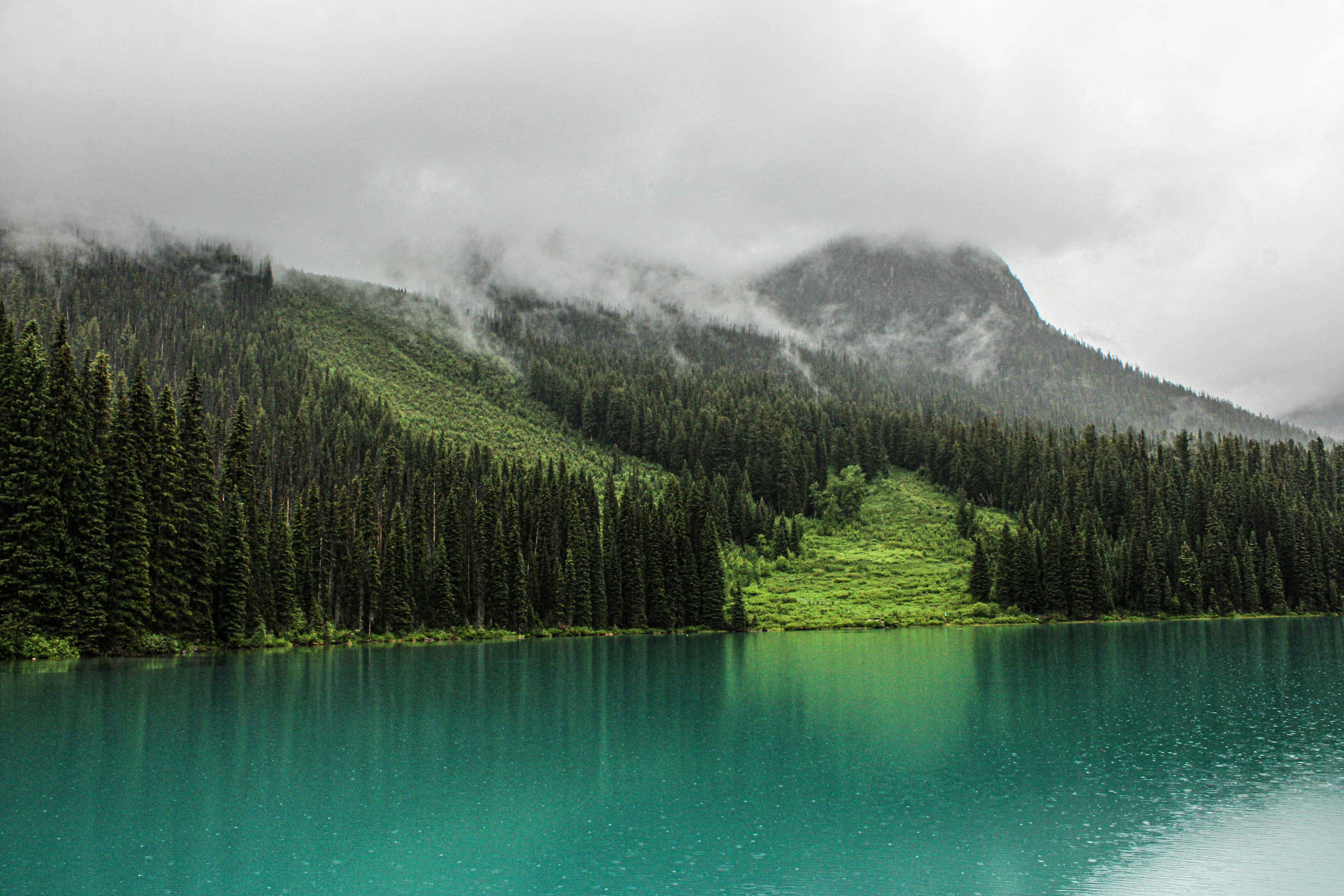 Photo by prphotography262