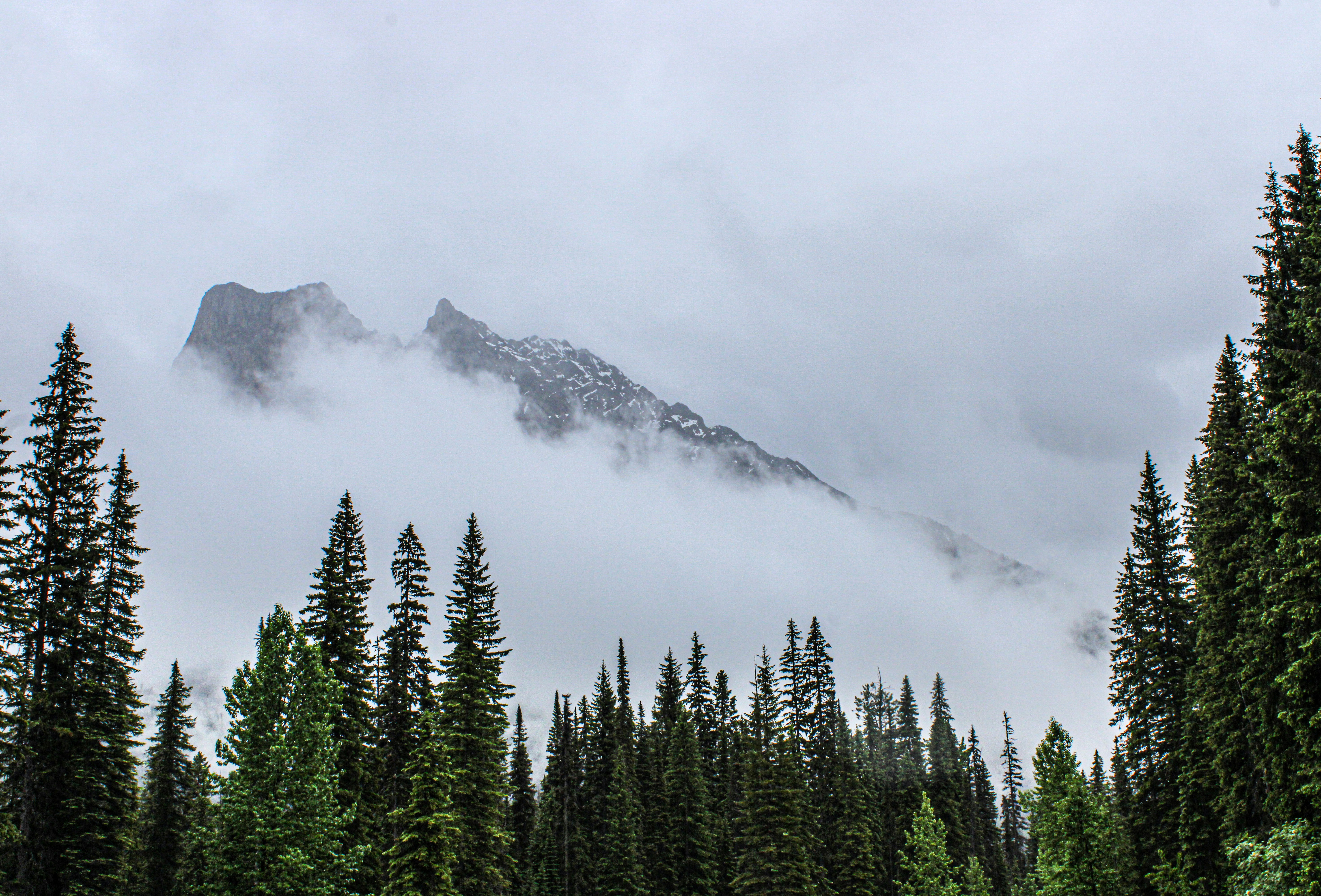 Photo by prphotography262