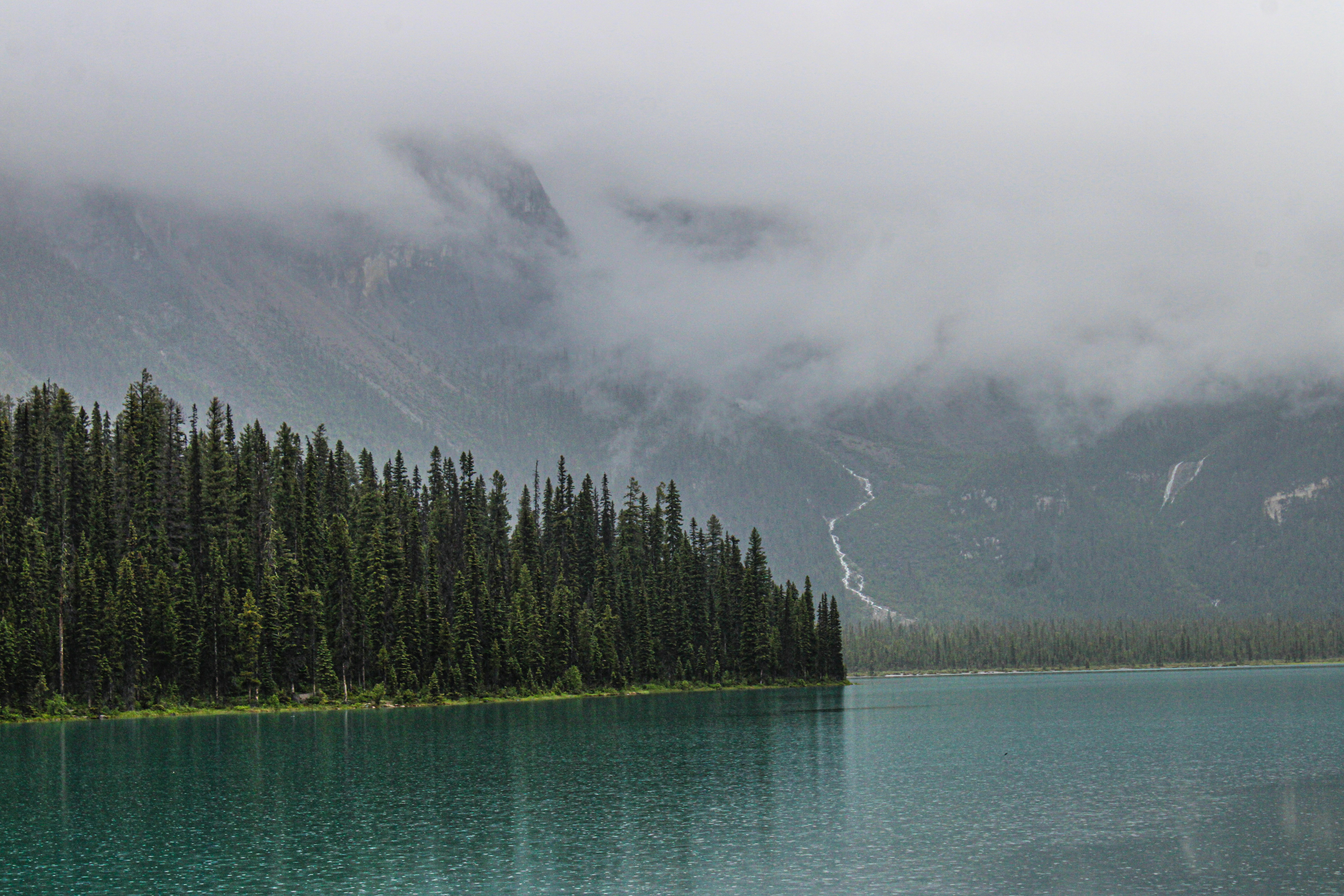 Photo by prphotography262