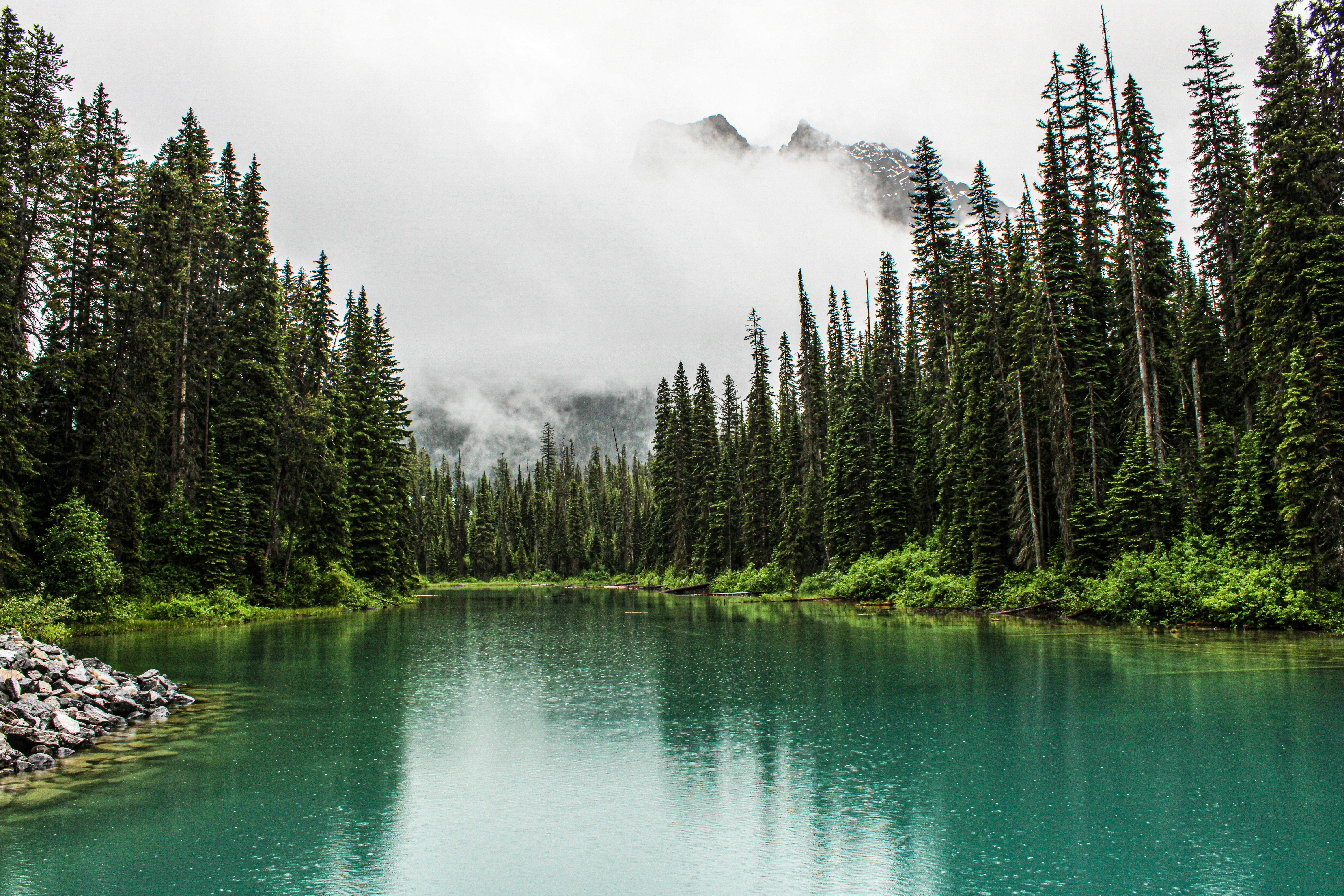 Photo by prphotography262